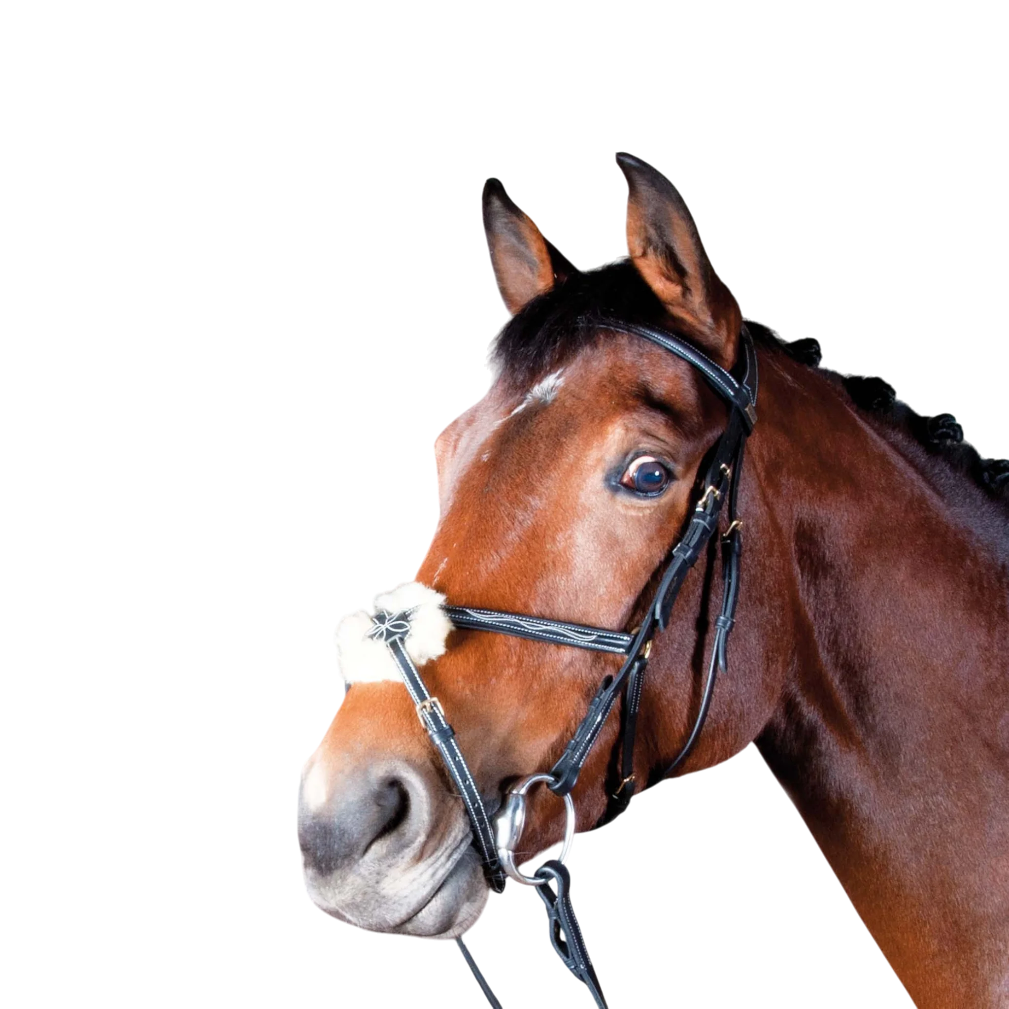 TdeT - Bridon classique Kessel muserolle croisée avec rênes noir