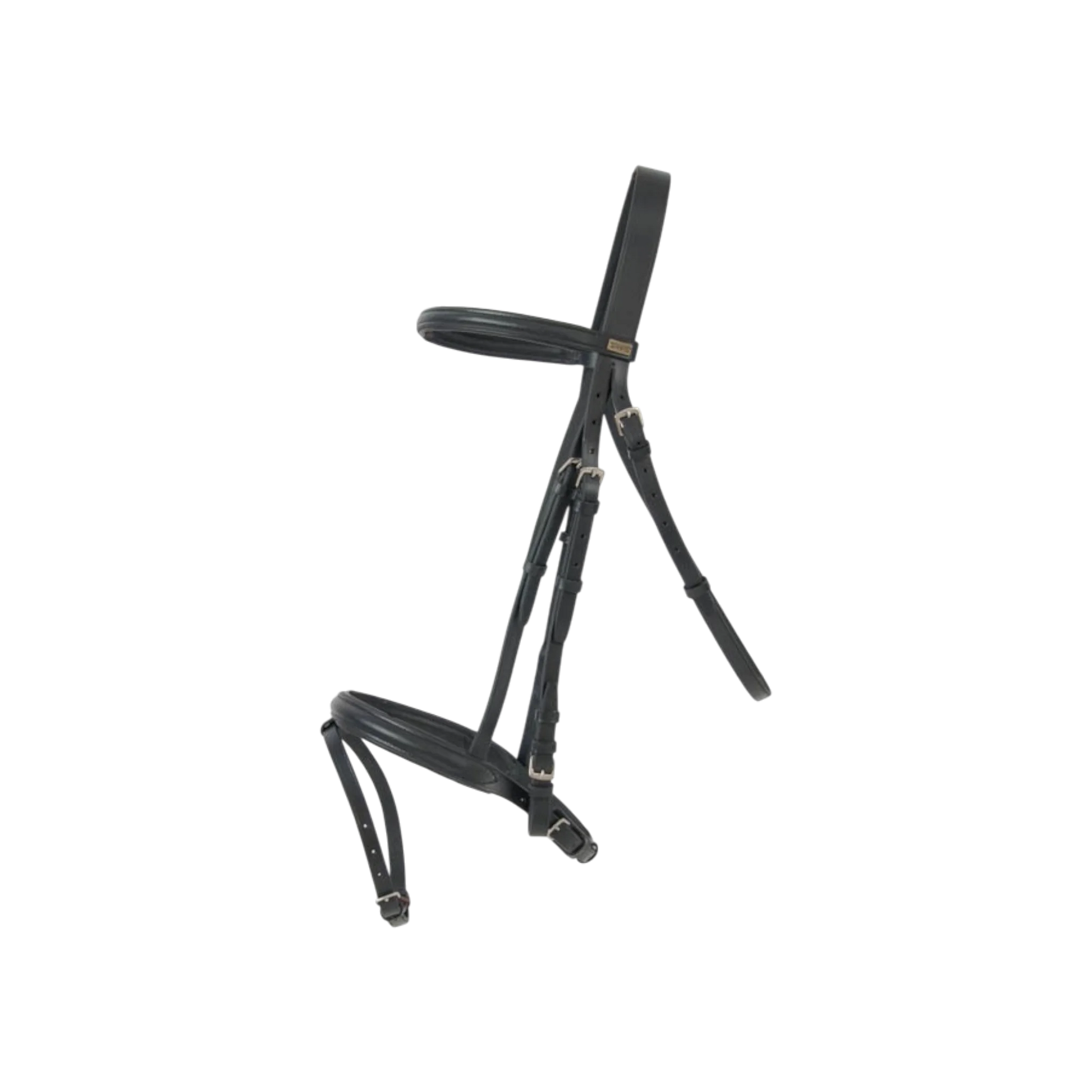 TdeT - Bridon classique Sisley combiné avec rênes noir