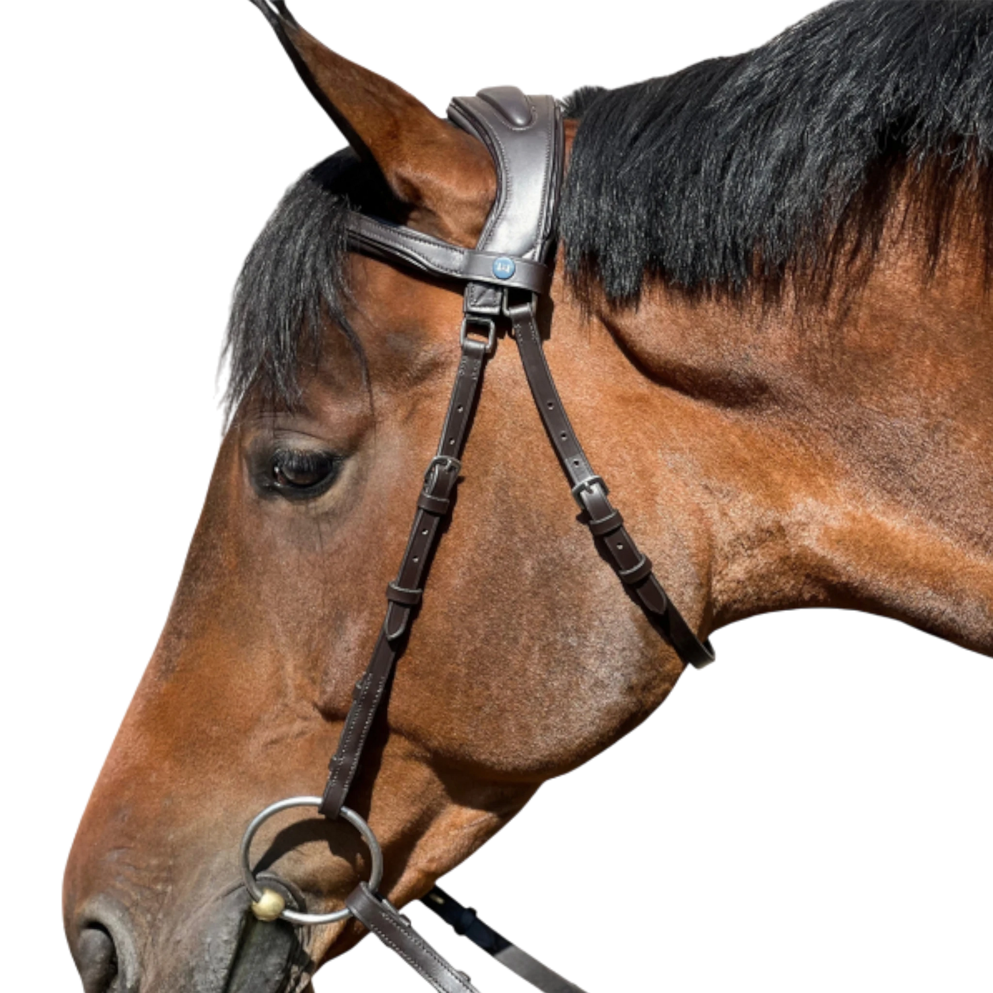 TdeT - Essentiel Comfort bridle without noseband with reins dark havana