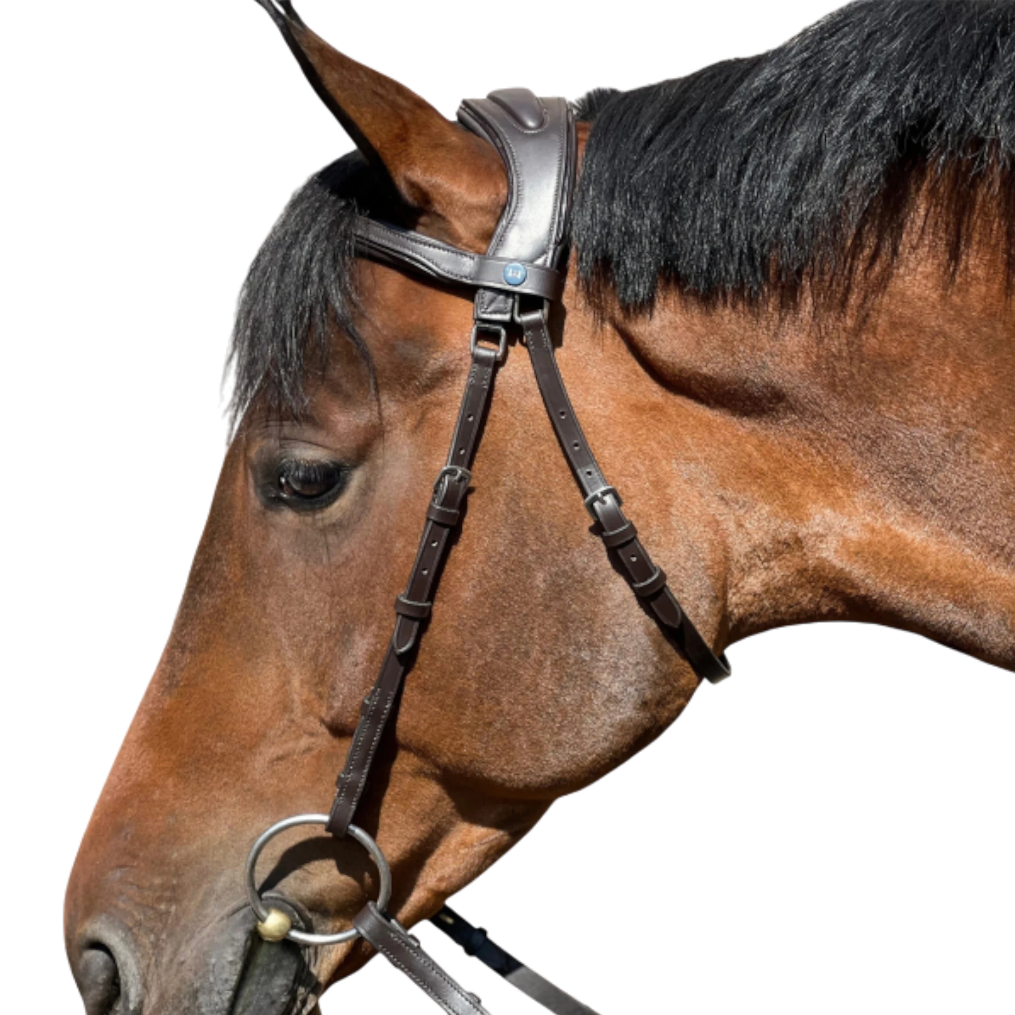 TdeT - Essentiel Comfort bridle without noseband with reins dark havana