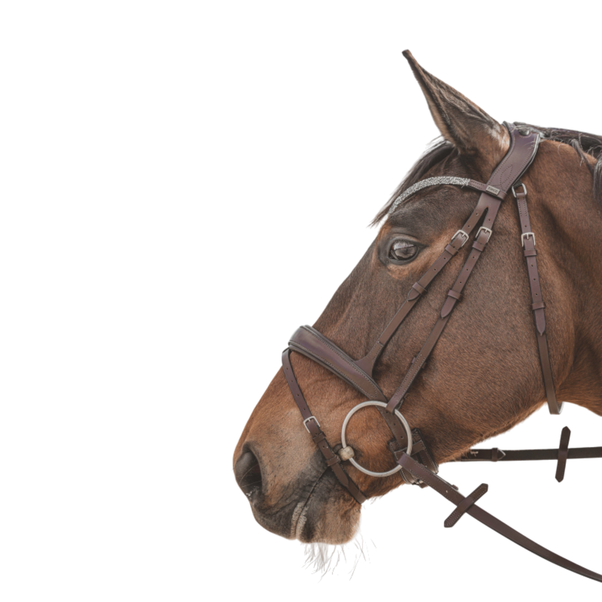 Bridon anatomique Hopper avec rênes marron argent