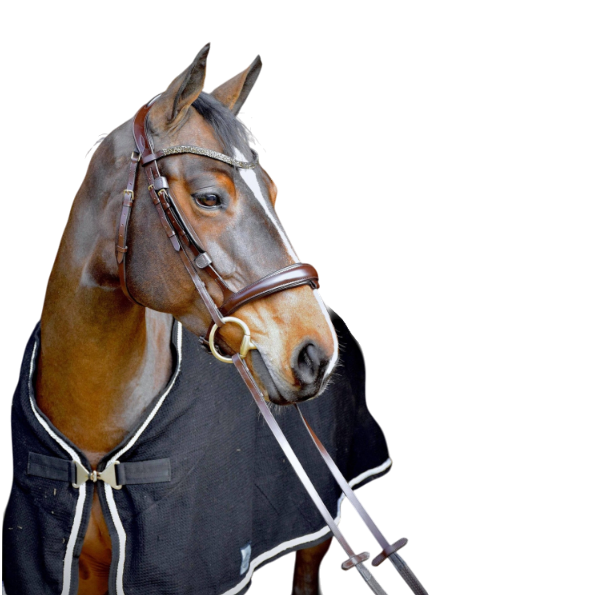 Bridon anatomique Hopper avec rênes marron doré