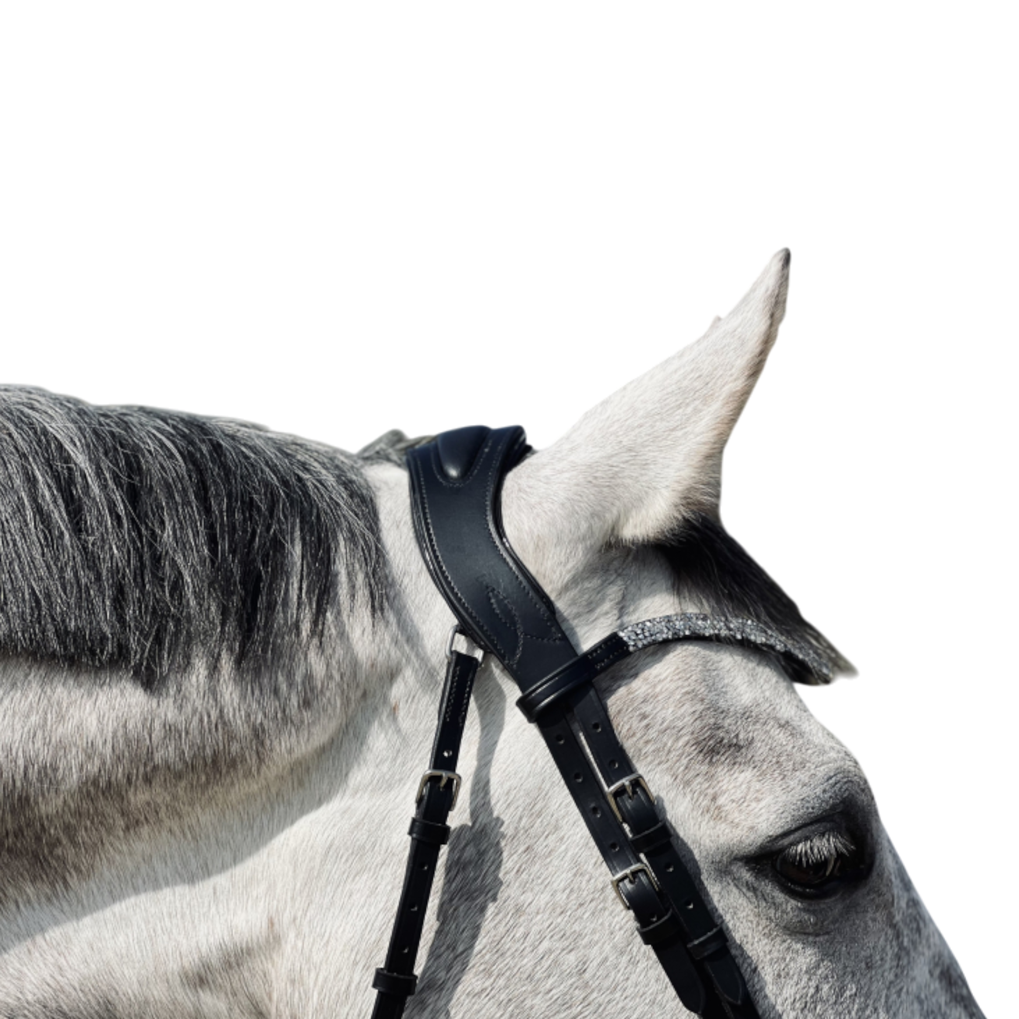 Bridon anatomique Hopper avec rênes noir argent