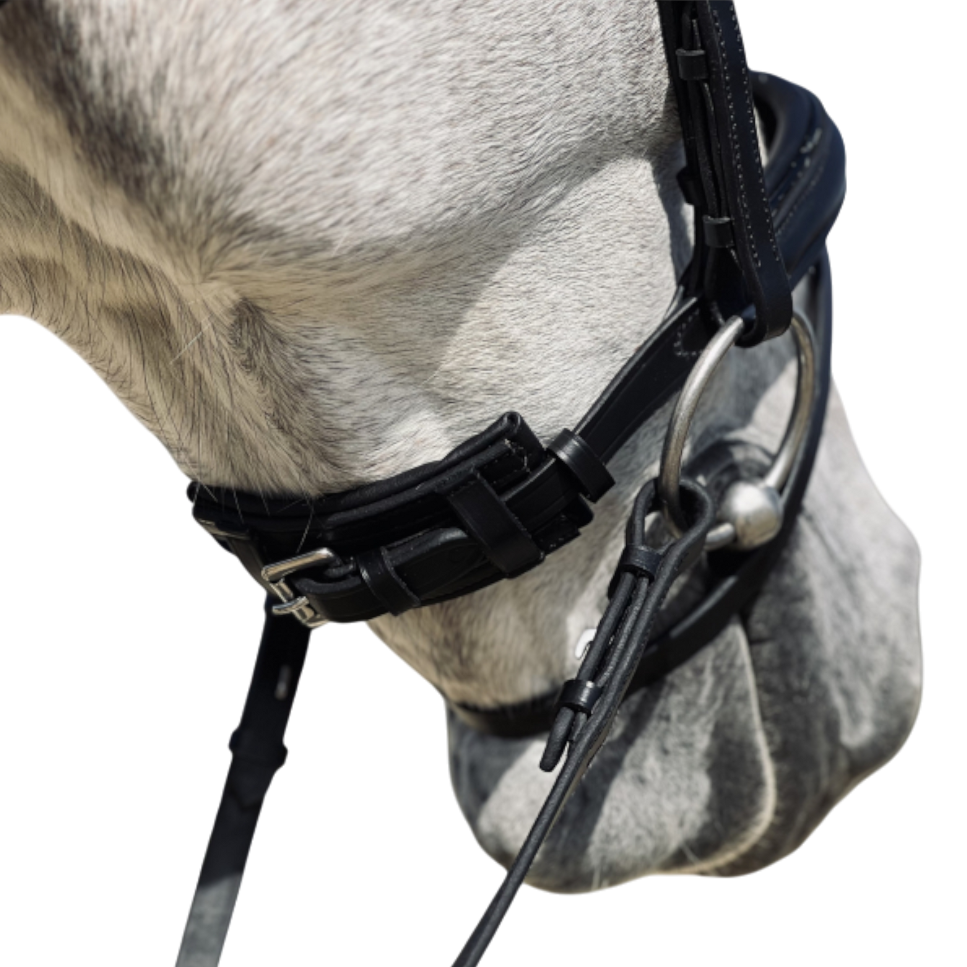 Bridon anatomique Hopper avec rênes noir argent