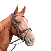 TdeT - Bridon classique Klimt avec rênes havane foncé