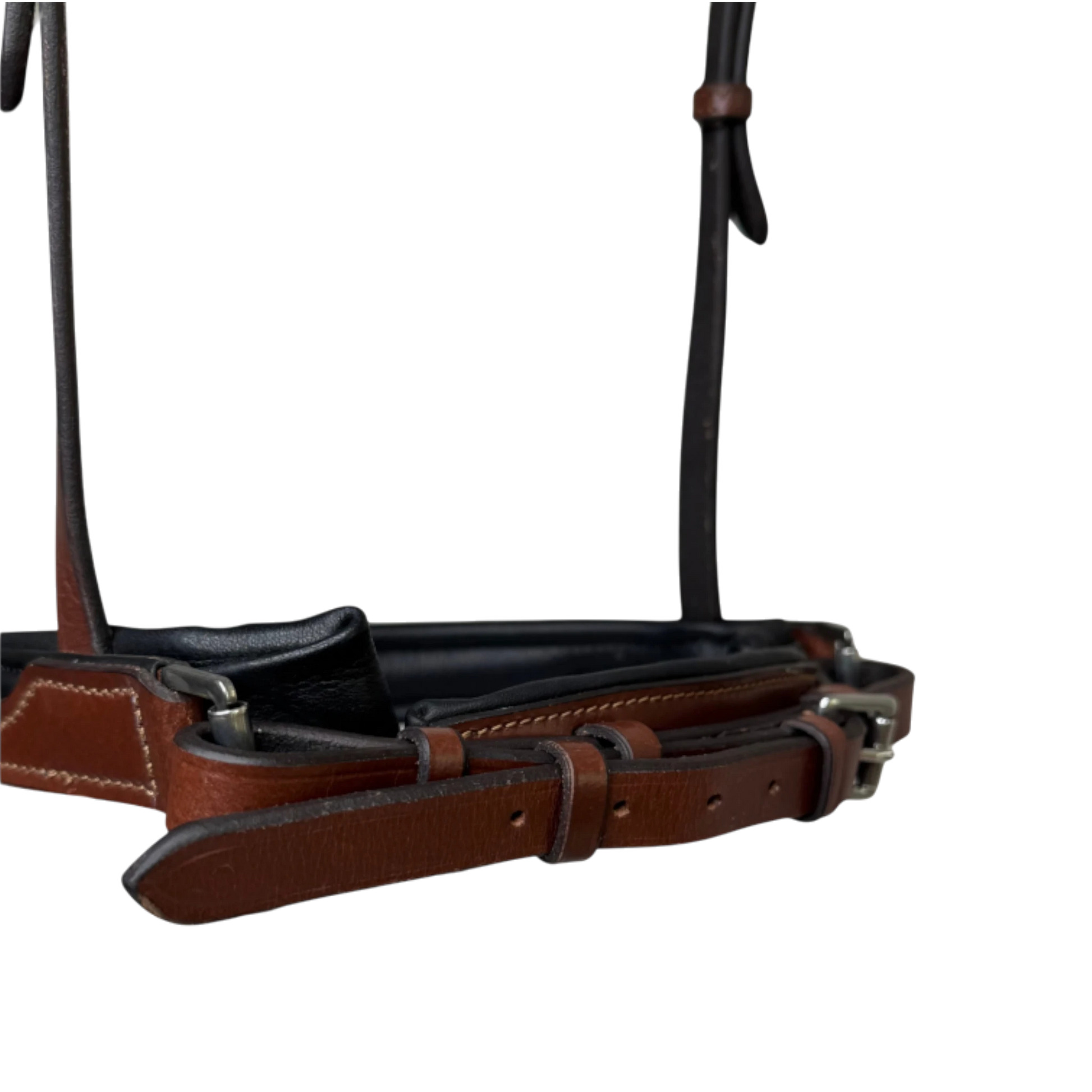 TdeT - Bridon anatomique Lautrec muserolle pull back avec rênes tabac noir