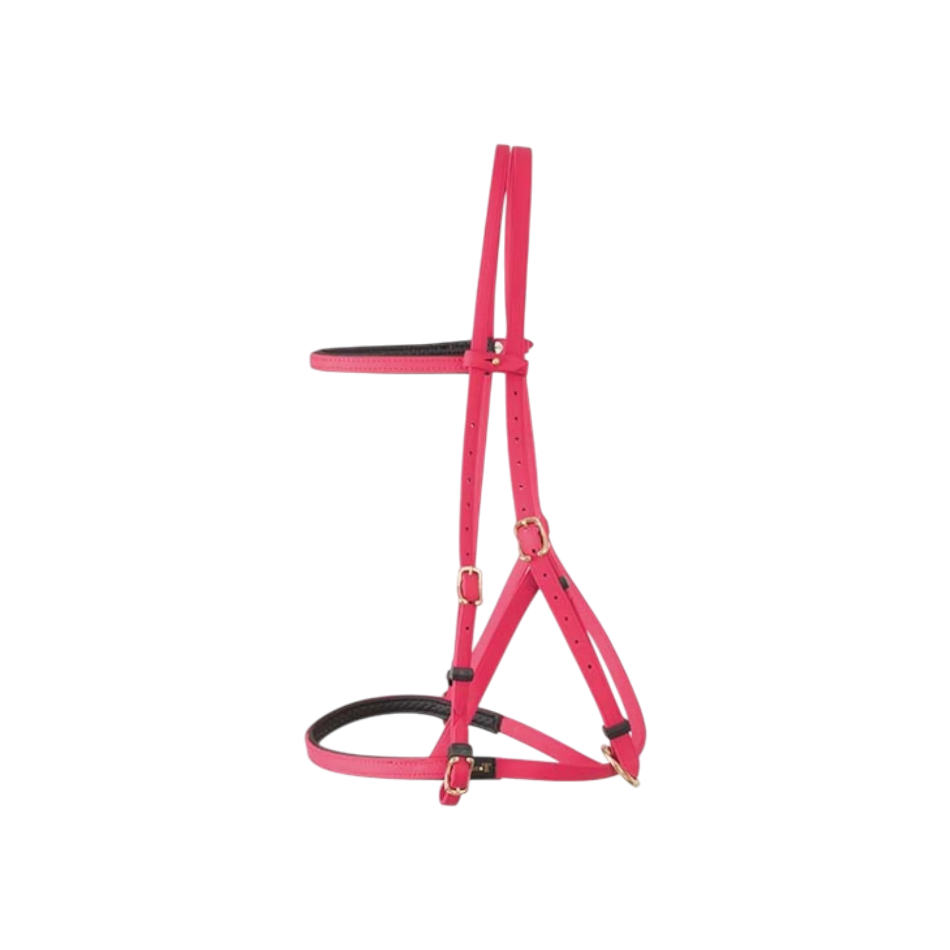 TdeT - Bridon licol Biotack® fuchsia