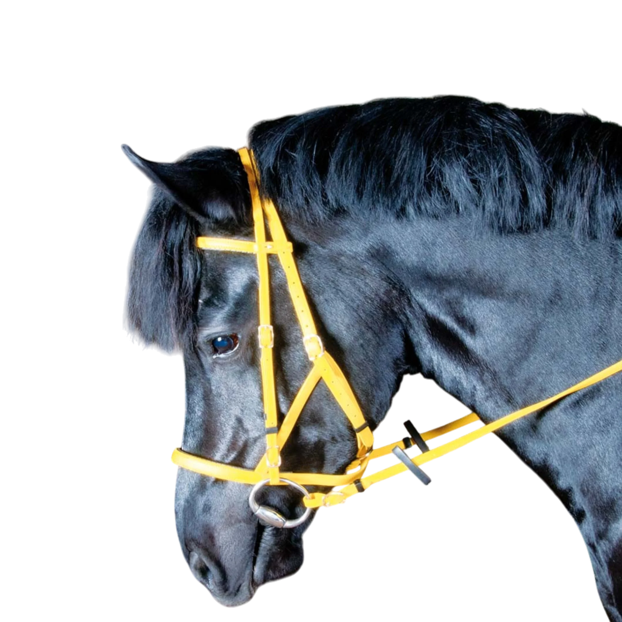 TdeT - Bridon licol Biotack® jaune