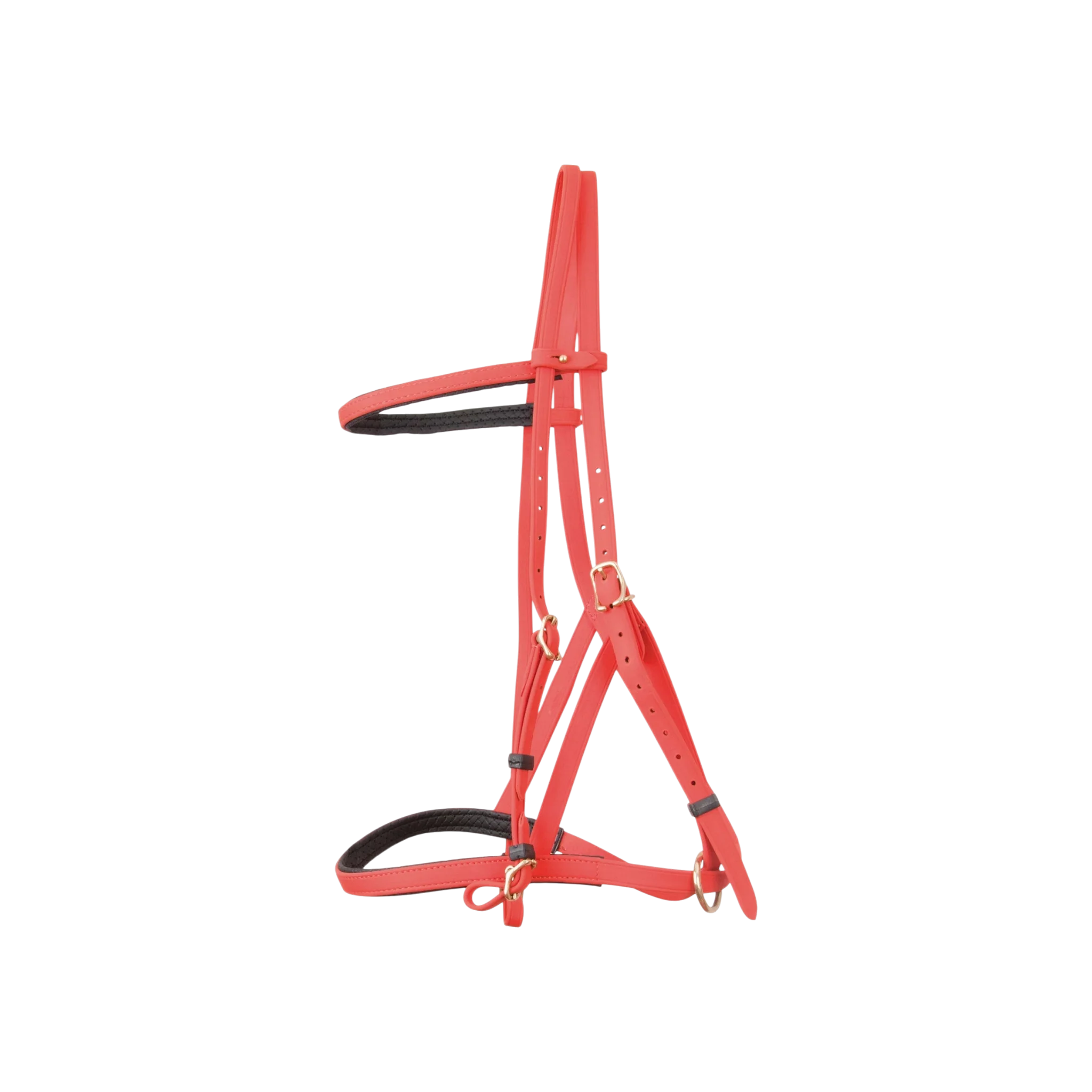 TdeT - Bridon licol Biotack® orange