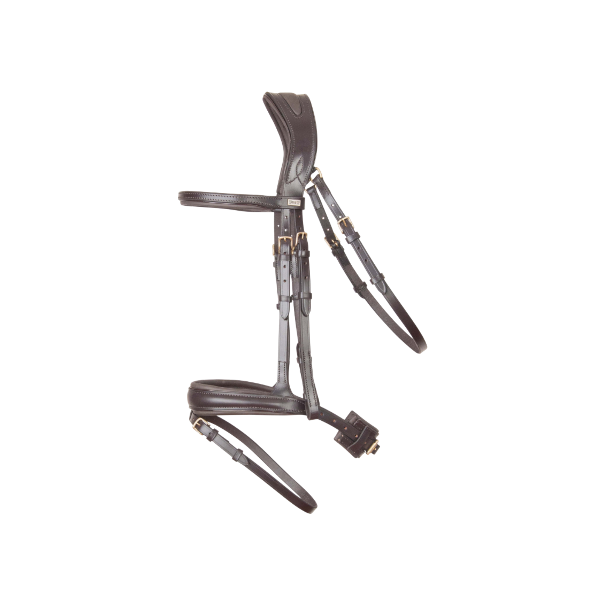 TdeT - Bridon anatomique Matisse avec rênes marron