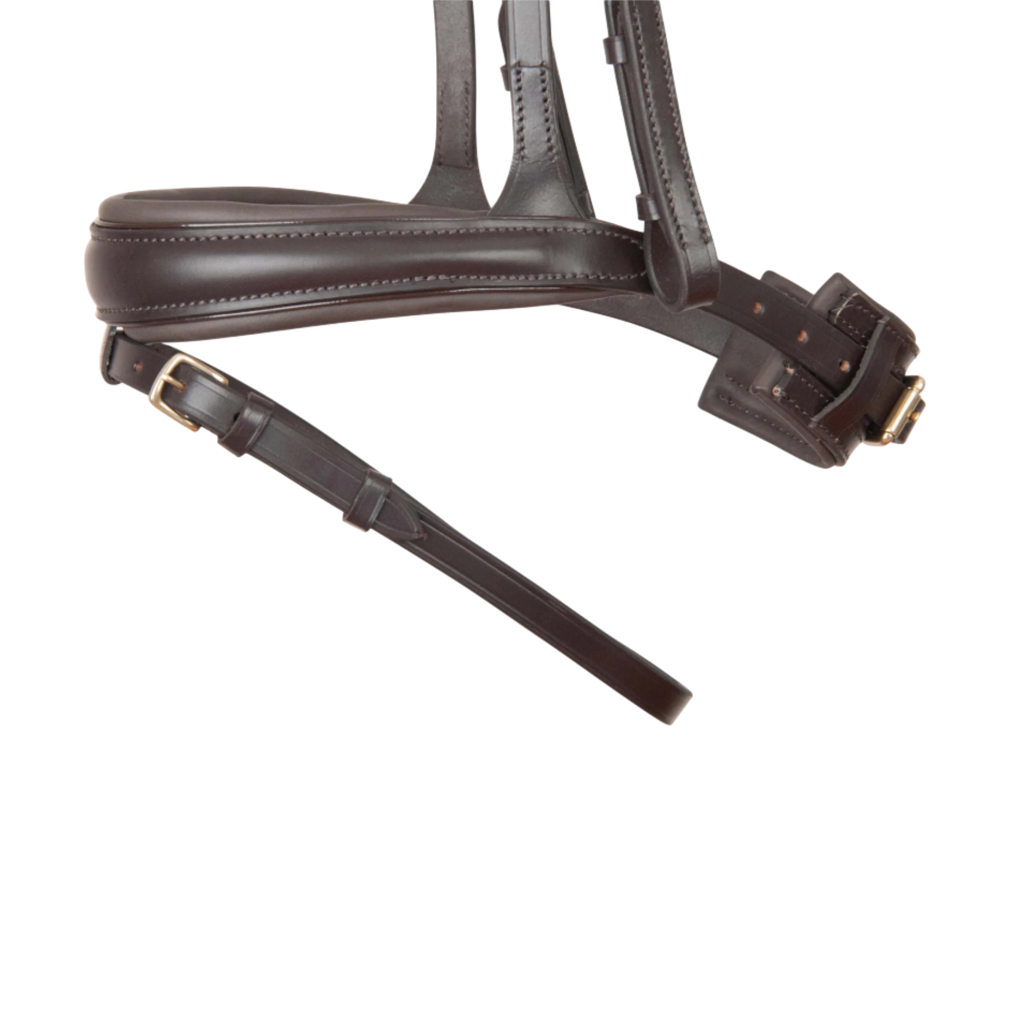 TdeT - Bridon anatomique Matisse avec rênes marron