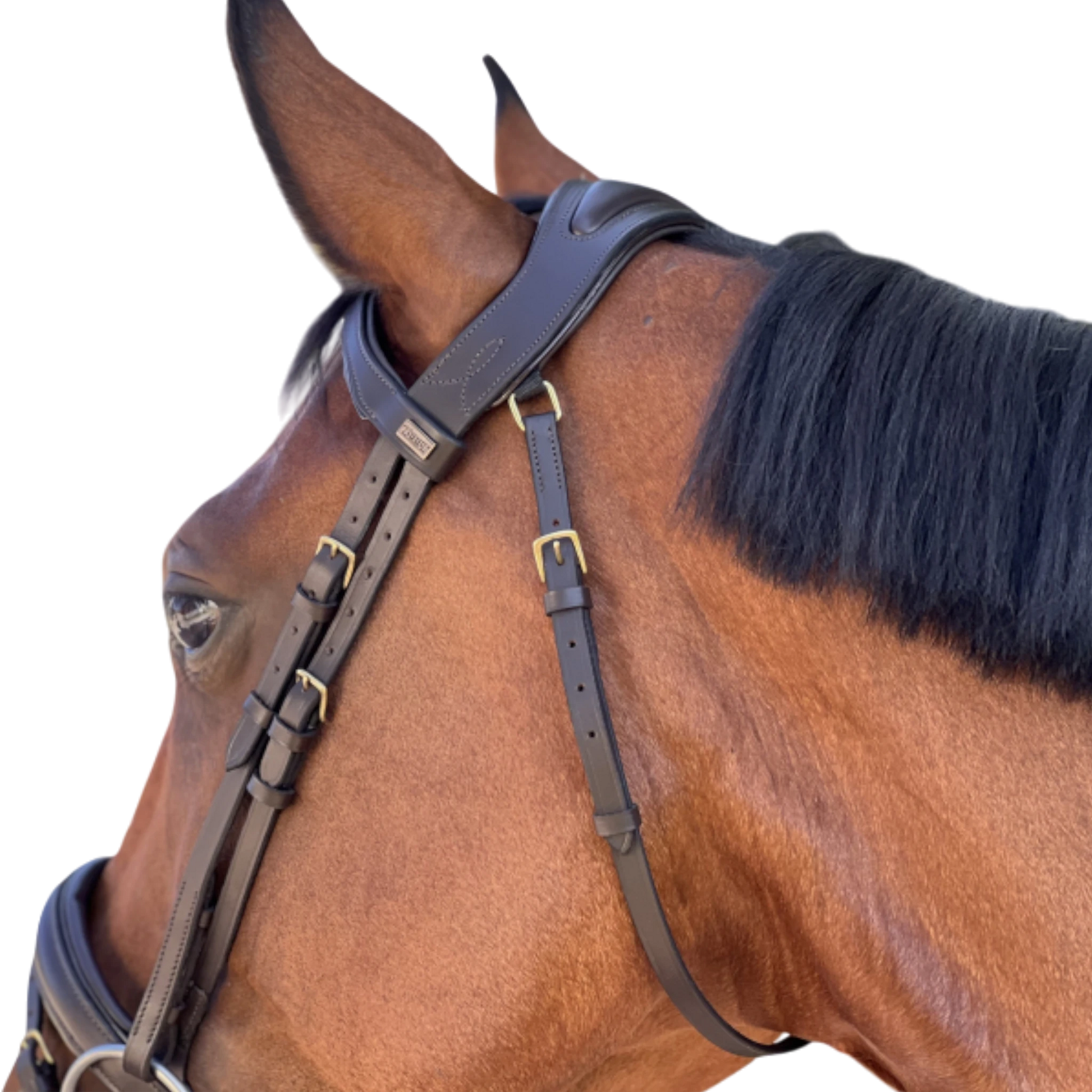 TdeT - Bridon anatomique Matisse avec rênes marron