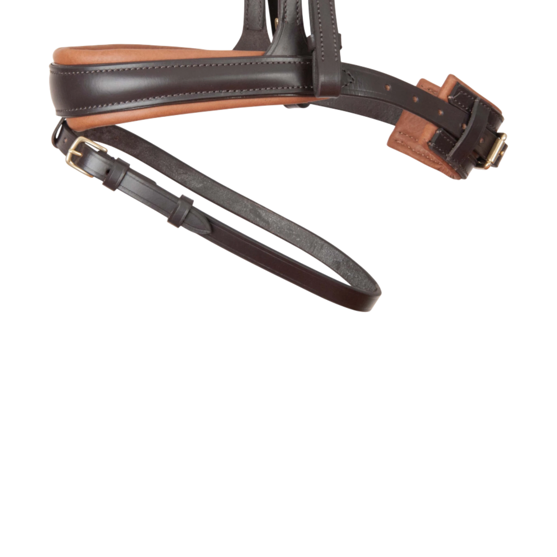 TdeT - Bridon anatomique Matisse avec rênes marron tabac