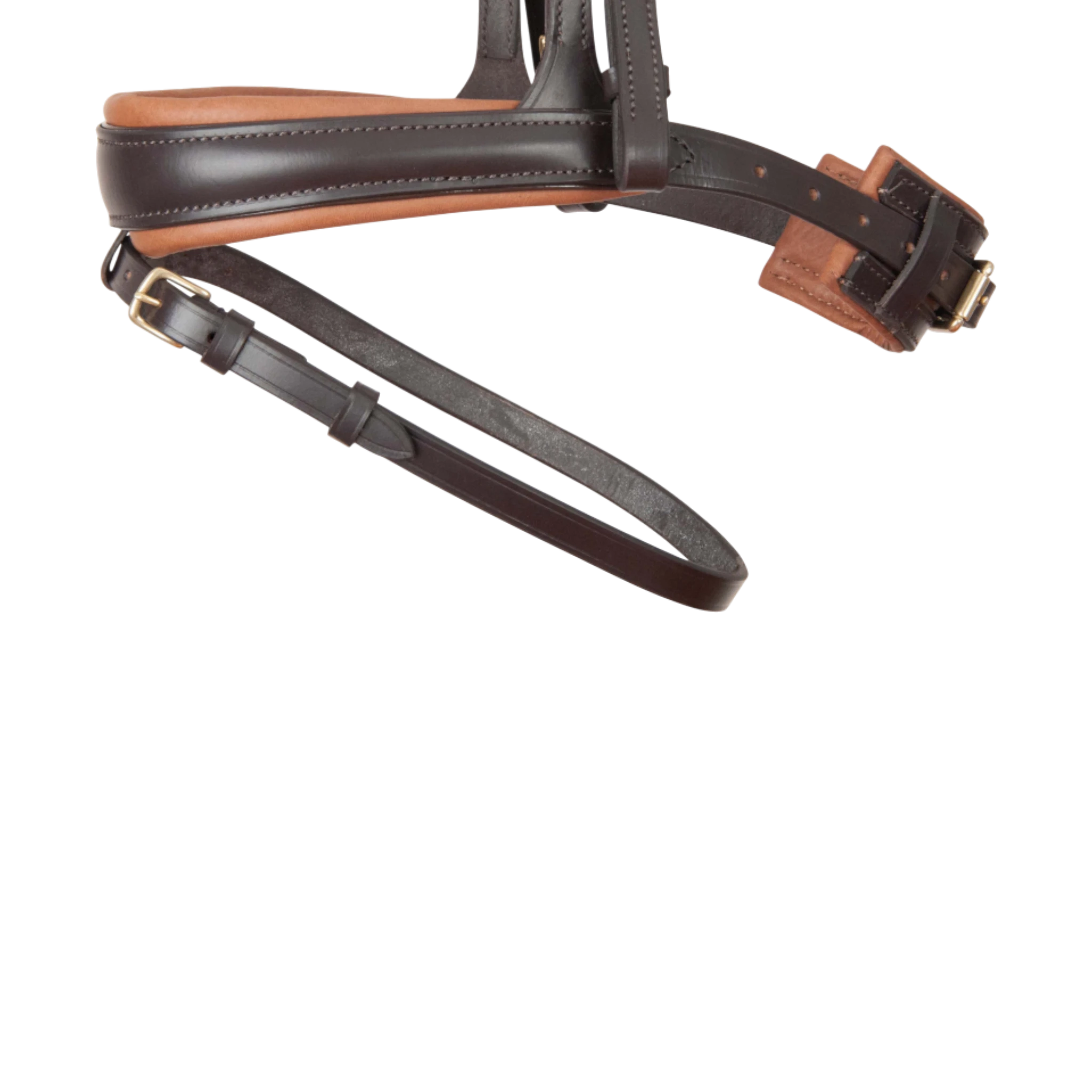 TdeT - Bridon anatomique Matisse avec rênes marron tabac