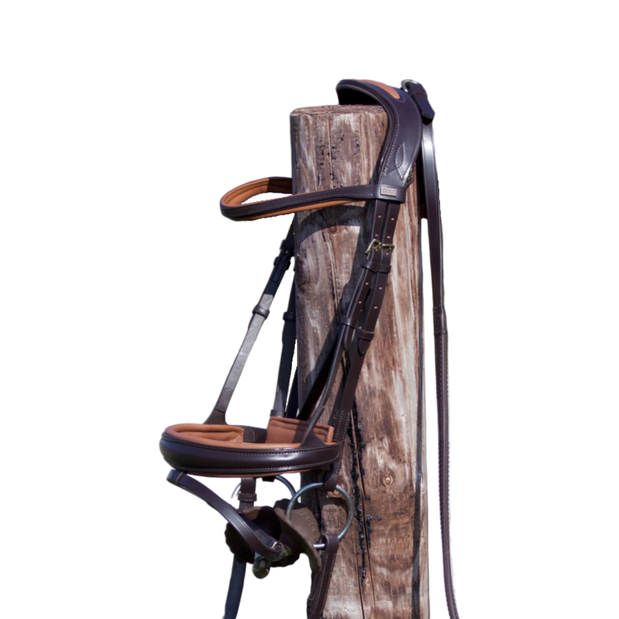 TdeT - Bridon anatomique Matisse avec rênes marron tabac