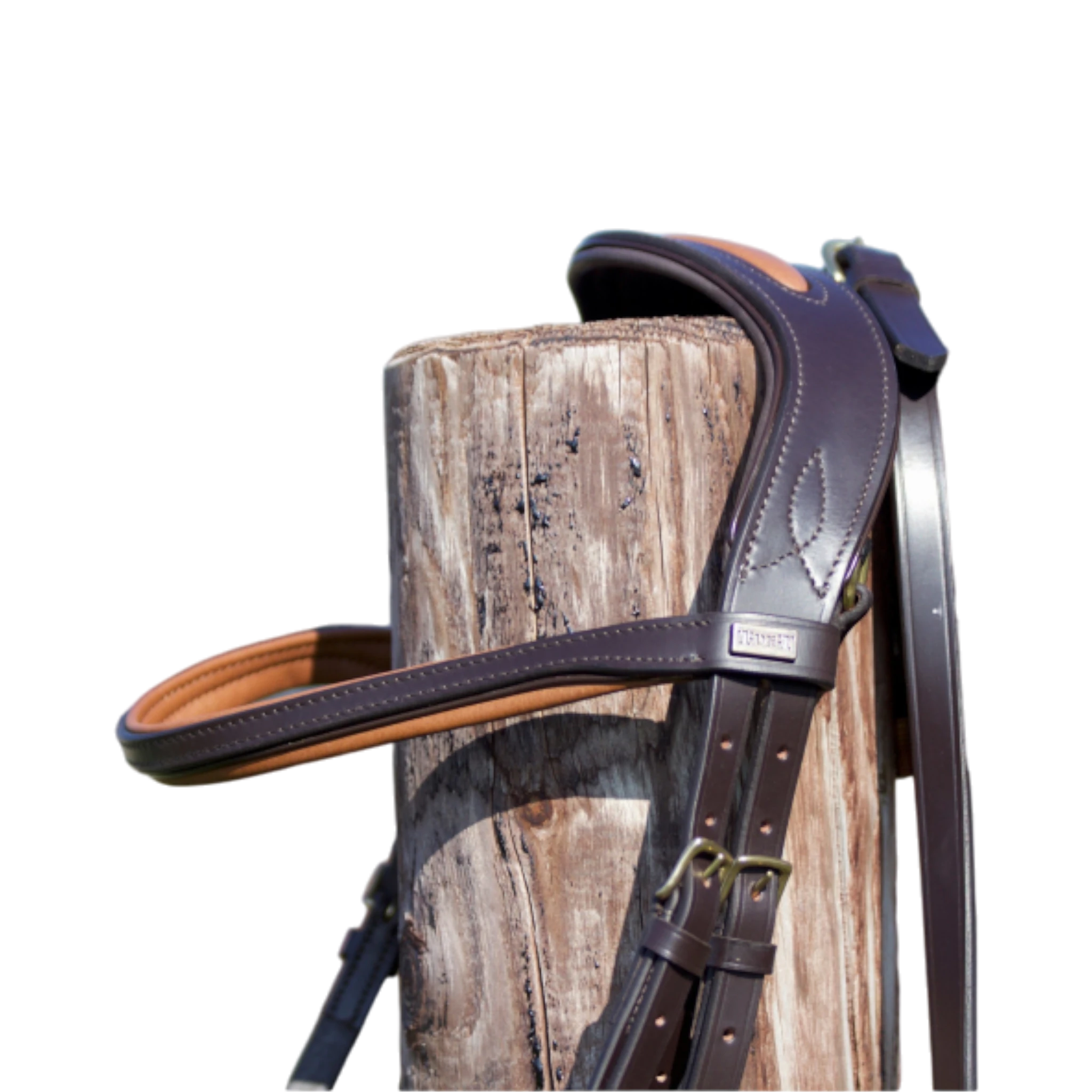 TdeT - Bridon anatomique Matisse avec rênes marron tabac