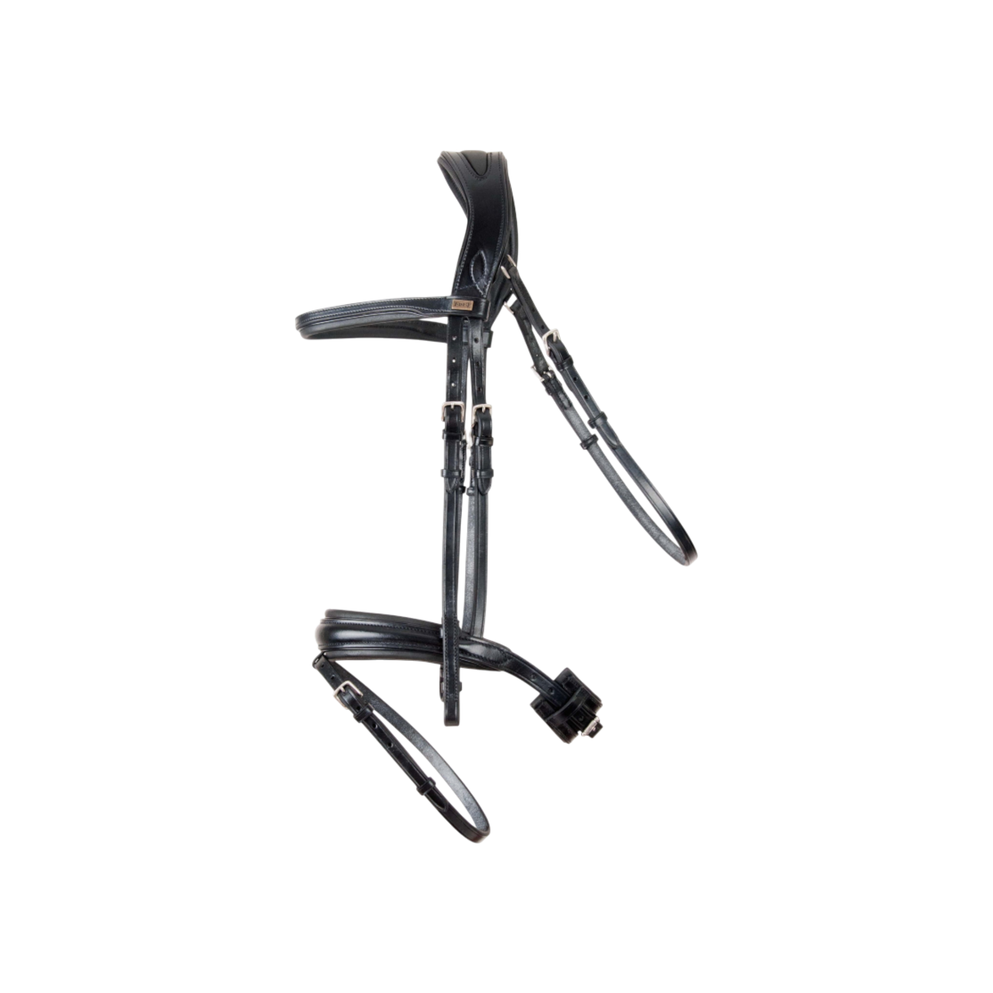 TdeT - Bridon anatomique Matisse avec rênes noir