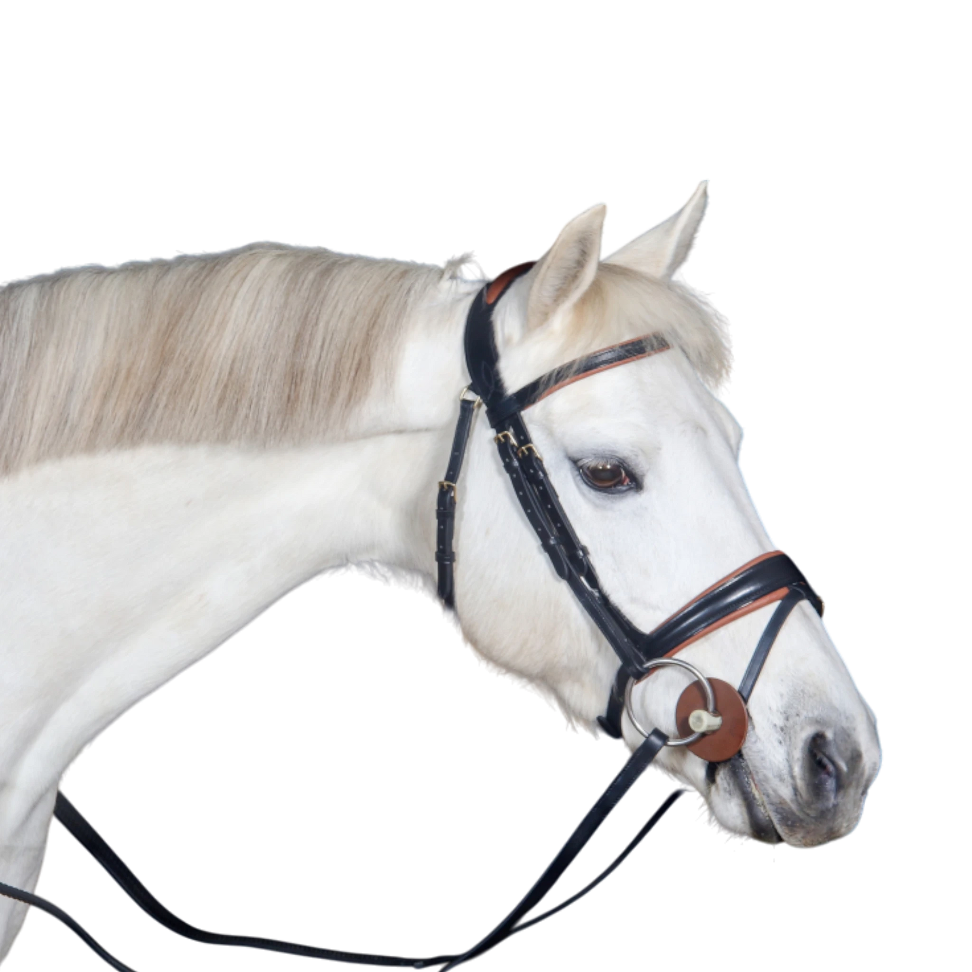 TdeT - Bridon anatomique Matisse avec rênes noir tabac