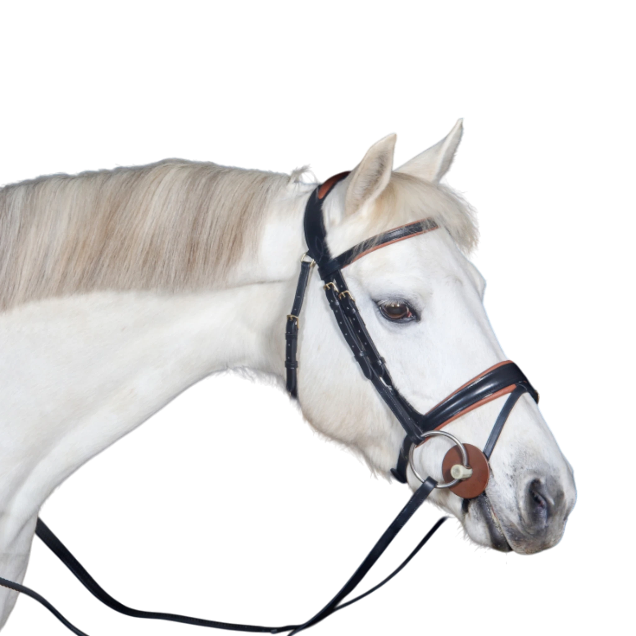 TdeT - Bridon anatomique Matisse avec rênes noir tabac