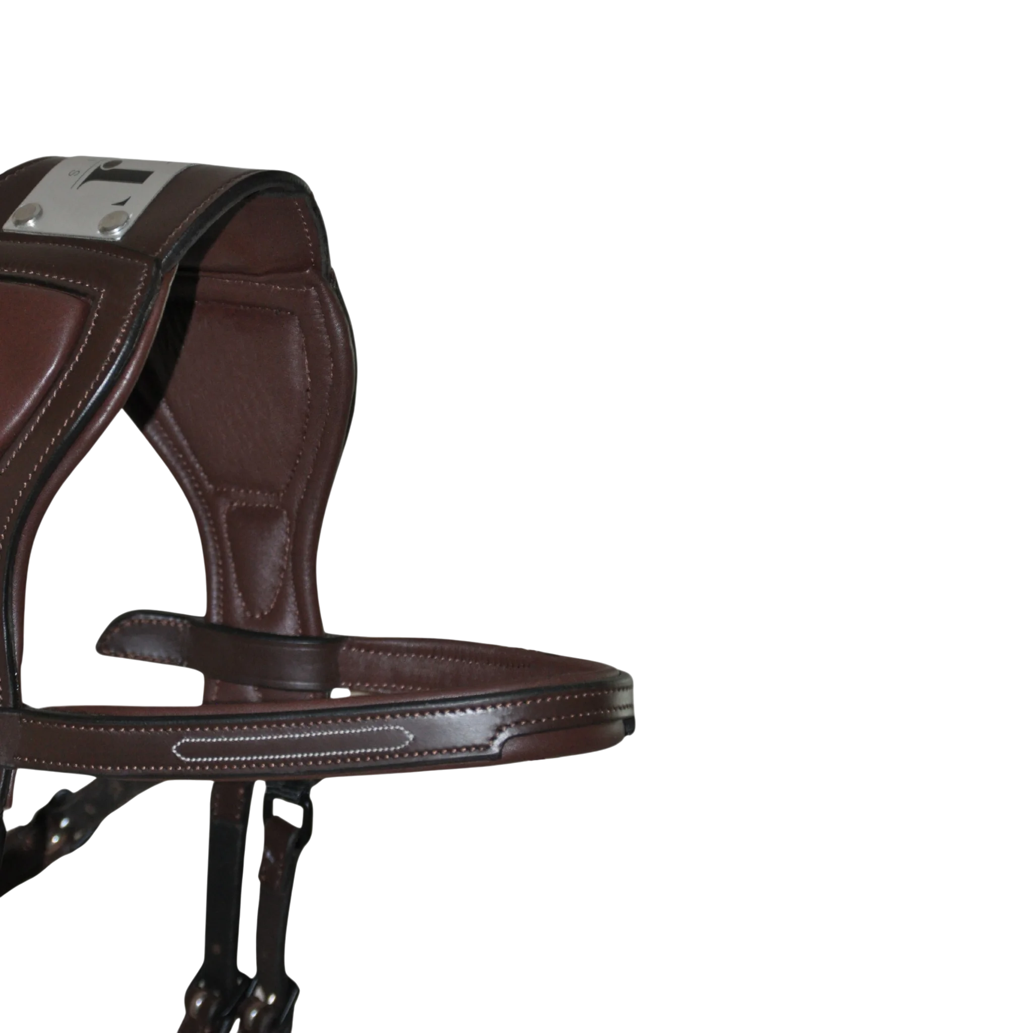 TdeT - Bridon à pont Chagall havane foncé