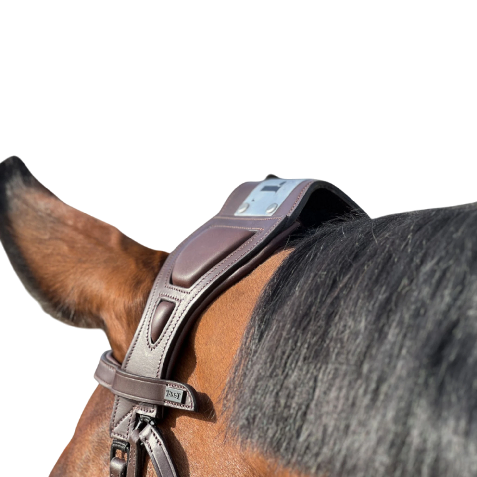 TdeT - Bridon à pont Chagall havane foncé