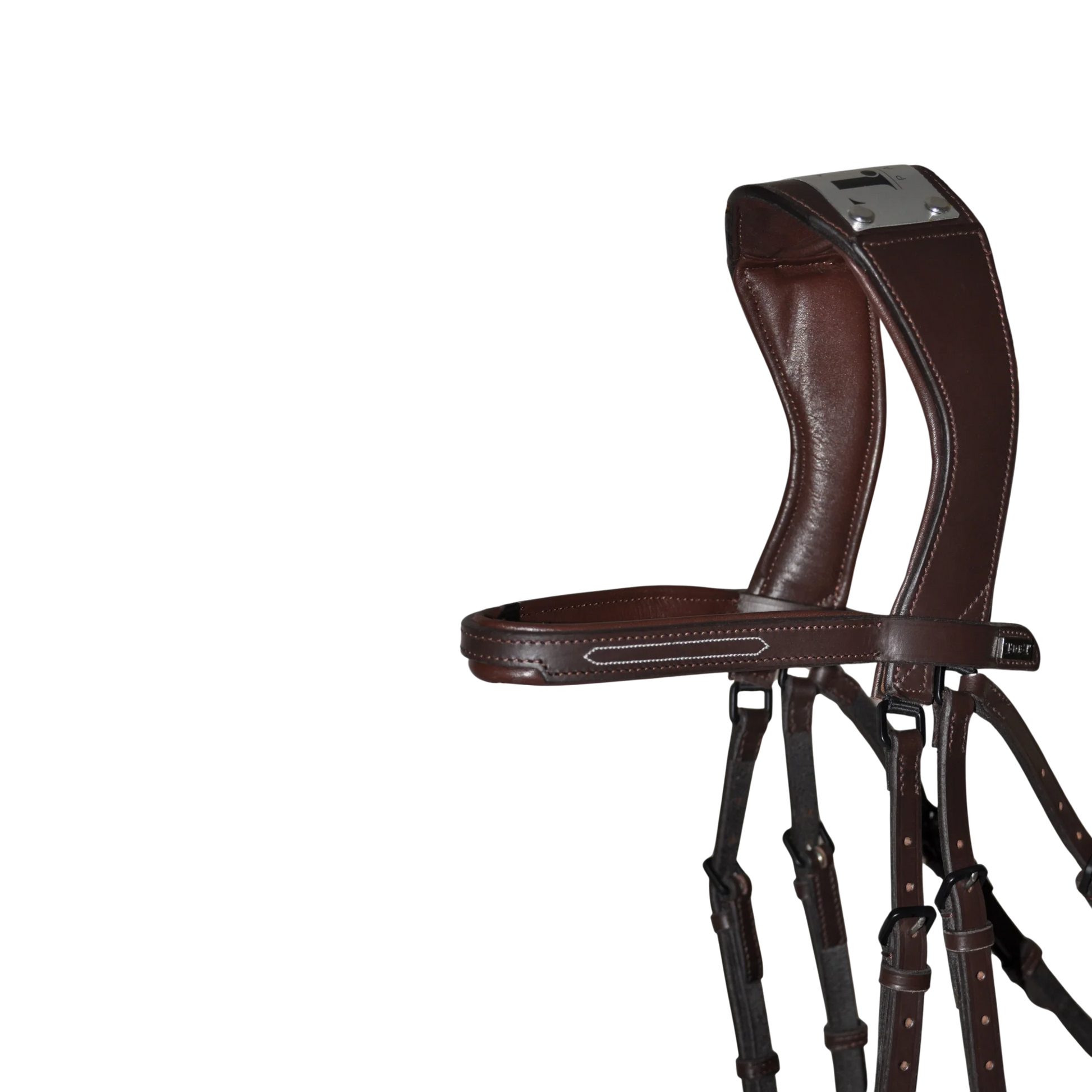 TdeT - Bridon à pont Manet havane foncé