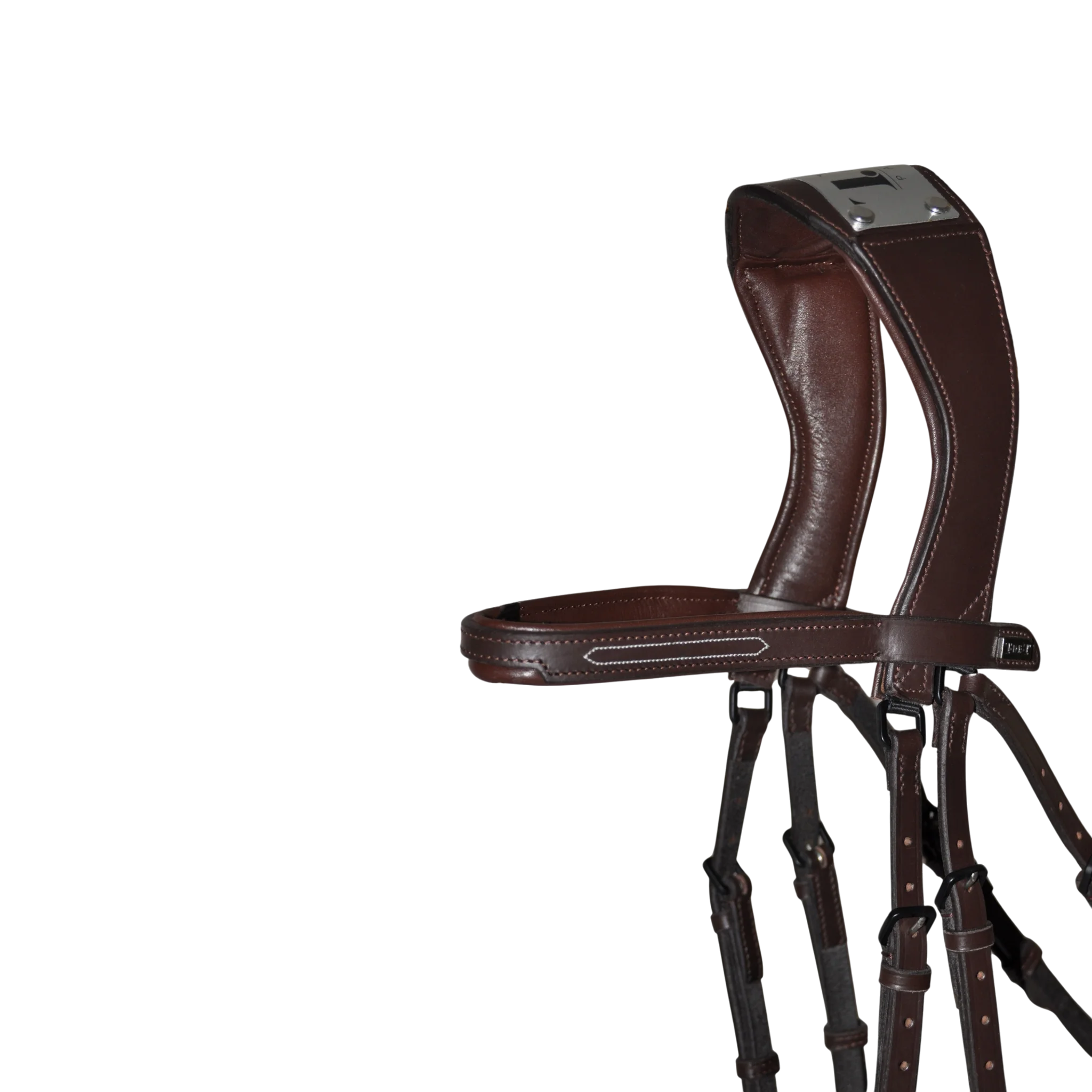 TdeT - Bridon à pont Manet havane foncé