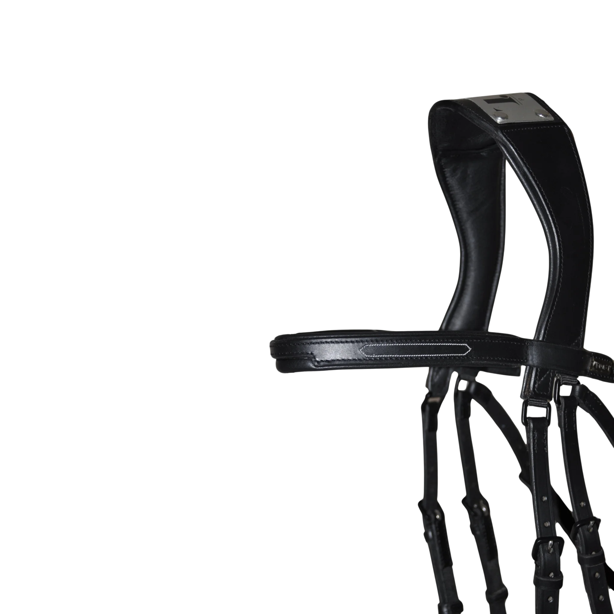 TdeT - Bridon à pont Manet noir