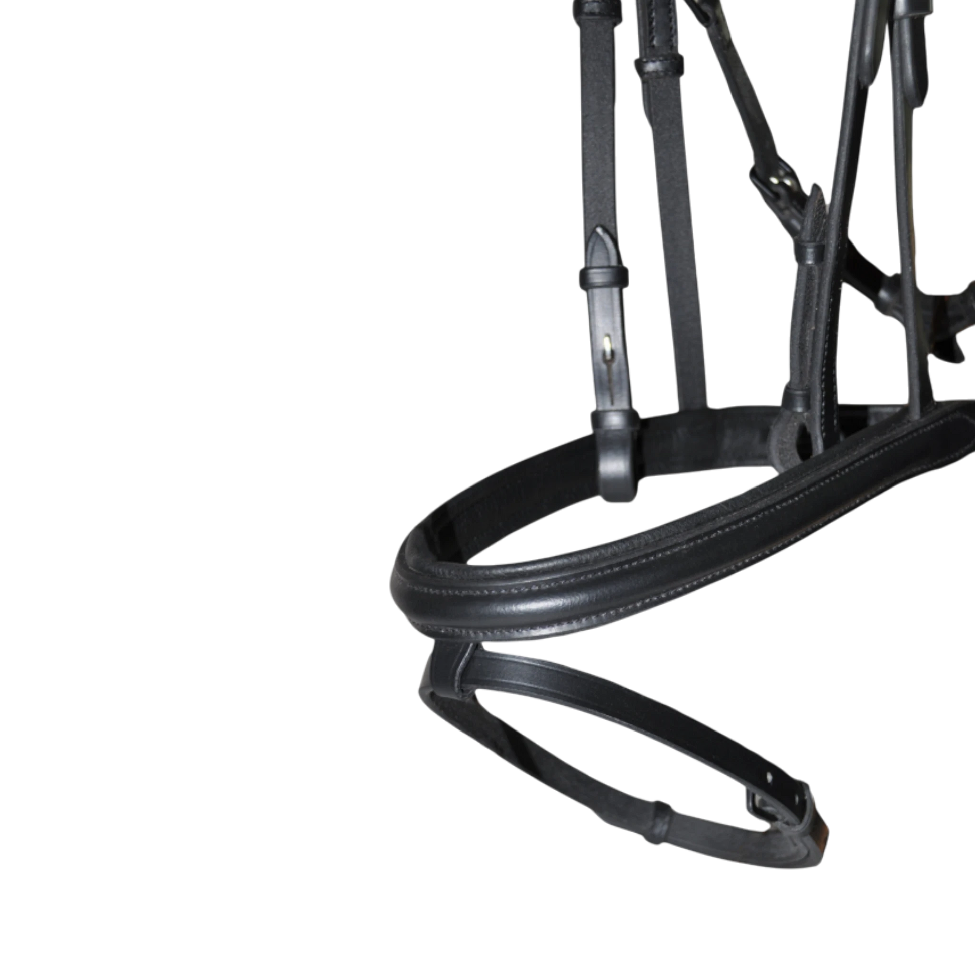 TdeT - Bridon à pont Vargas noir