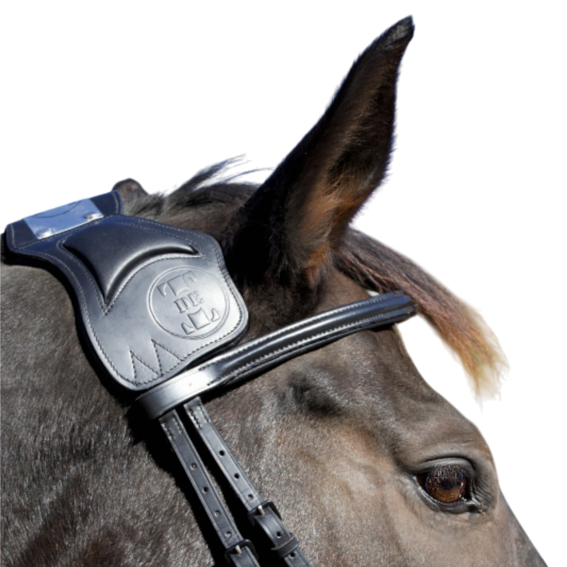 TdeT - Bridon à pont Vargas noir