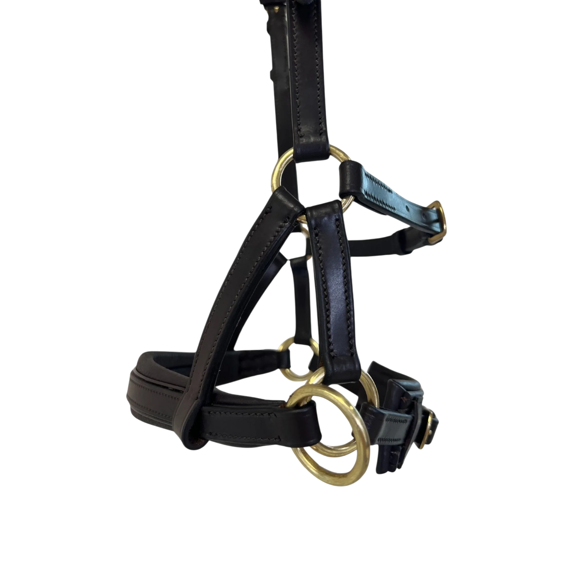 TdeT - Bridon Sidepull cuir No More havane foncé