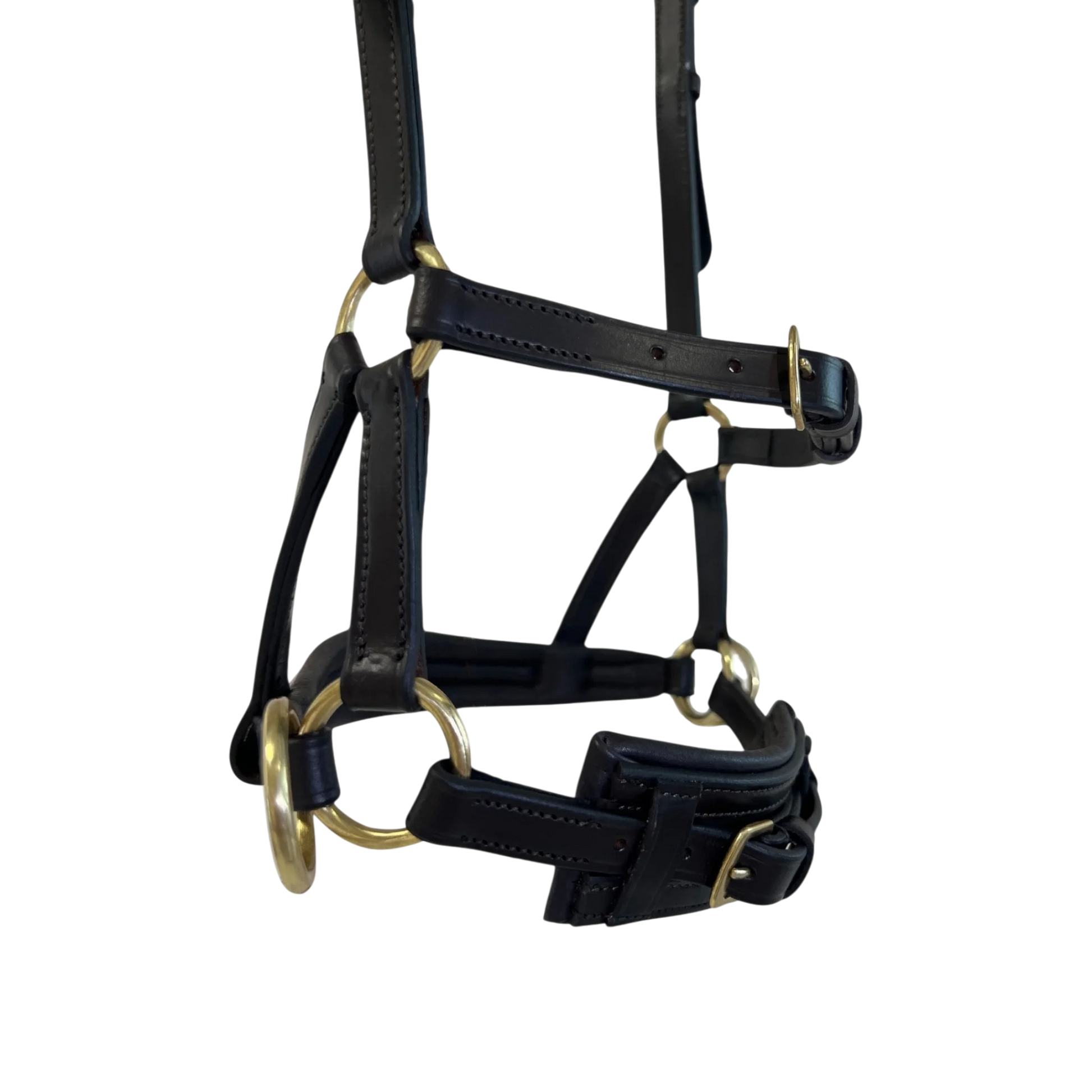 TdeT - Bridon Sidepull cuir No More havane foncé