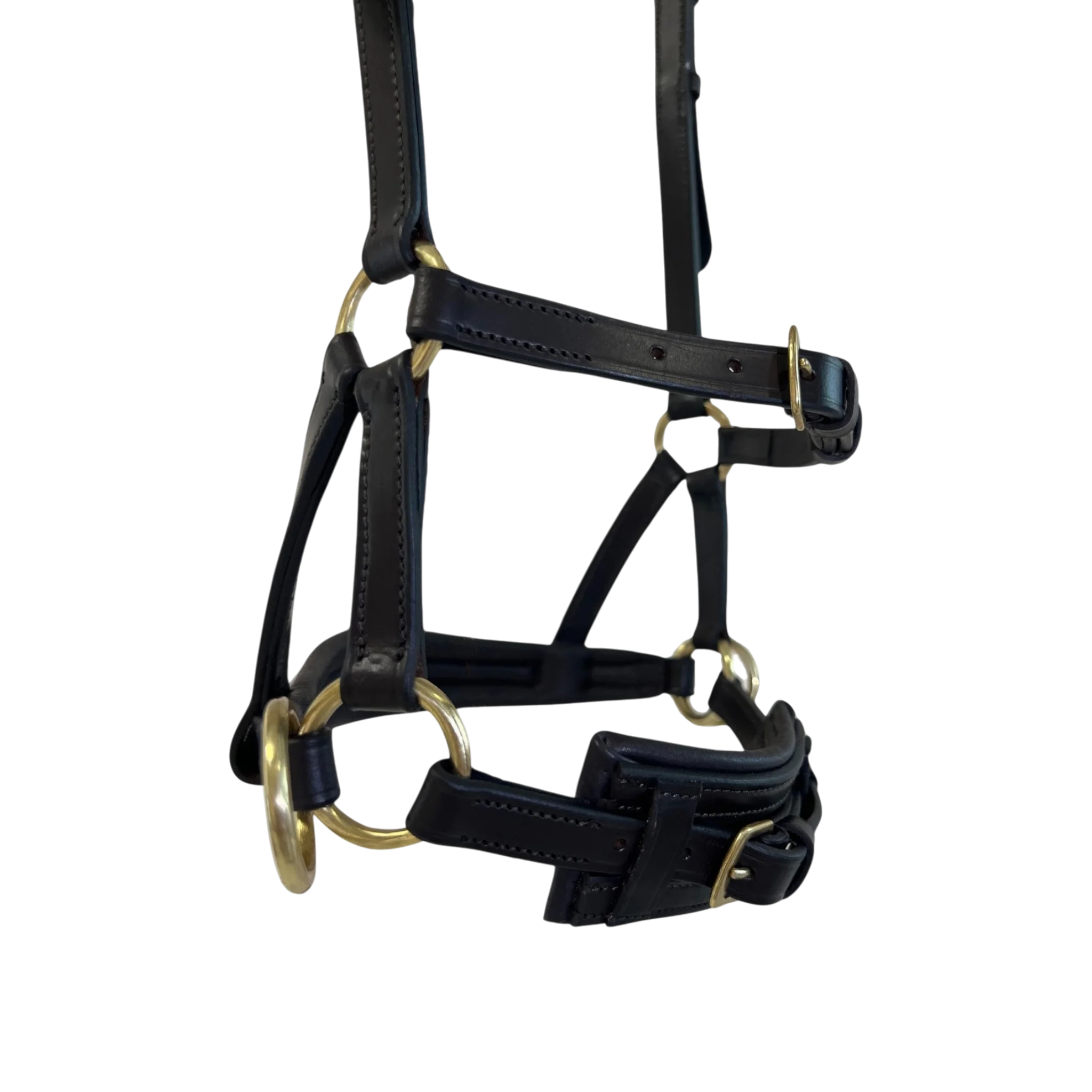 TdeT - Bridon Sidepull cuir No More havane foncé