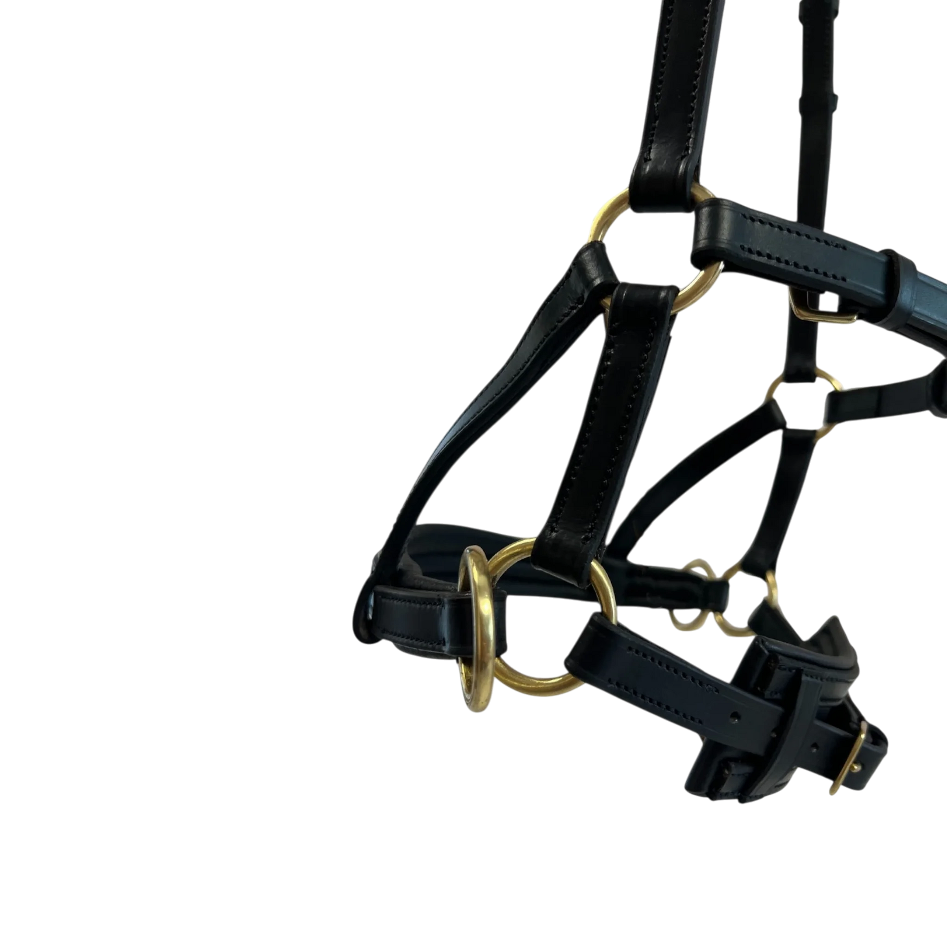 TdeT - Bridon Sidepull cuir No More noir