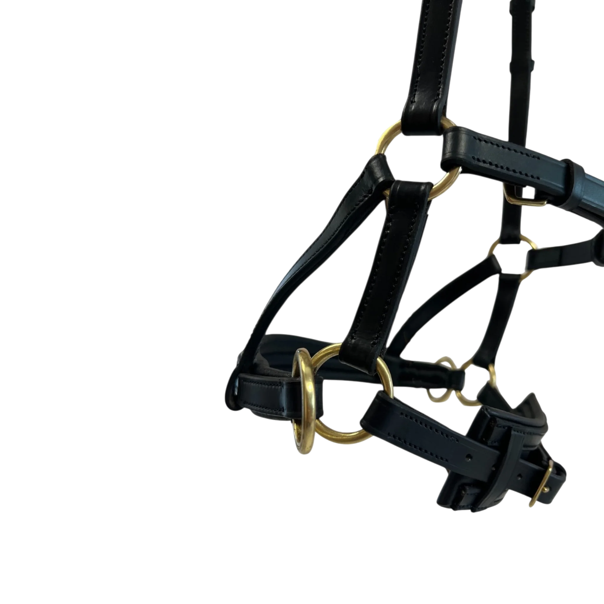 TdeT - Bridon Sidepull cuir No More noir