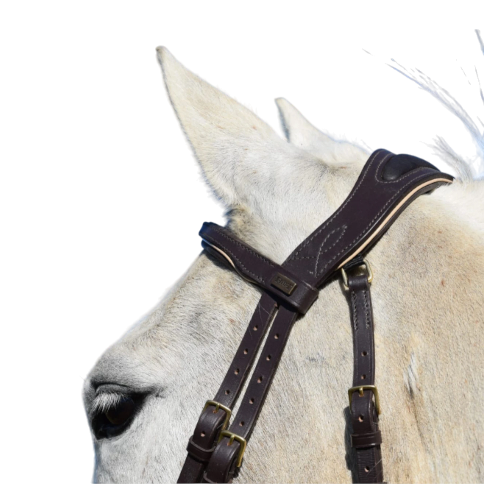 TdeT - Bridon anatomique Velazquez avec rênes marron beige