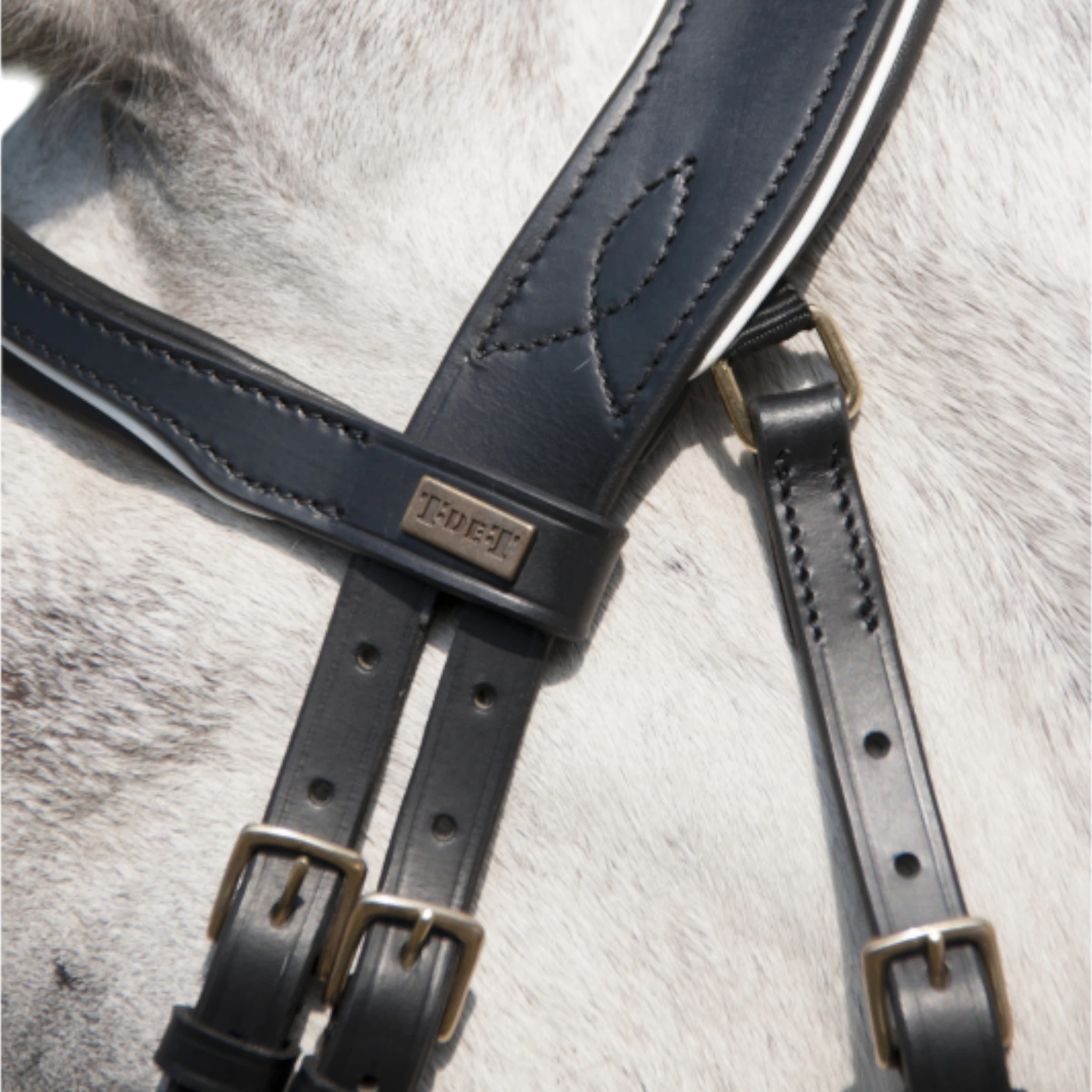 TdeT - Bridon anatomique Velazquez avec rênes noir blanc