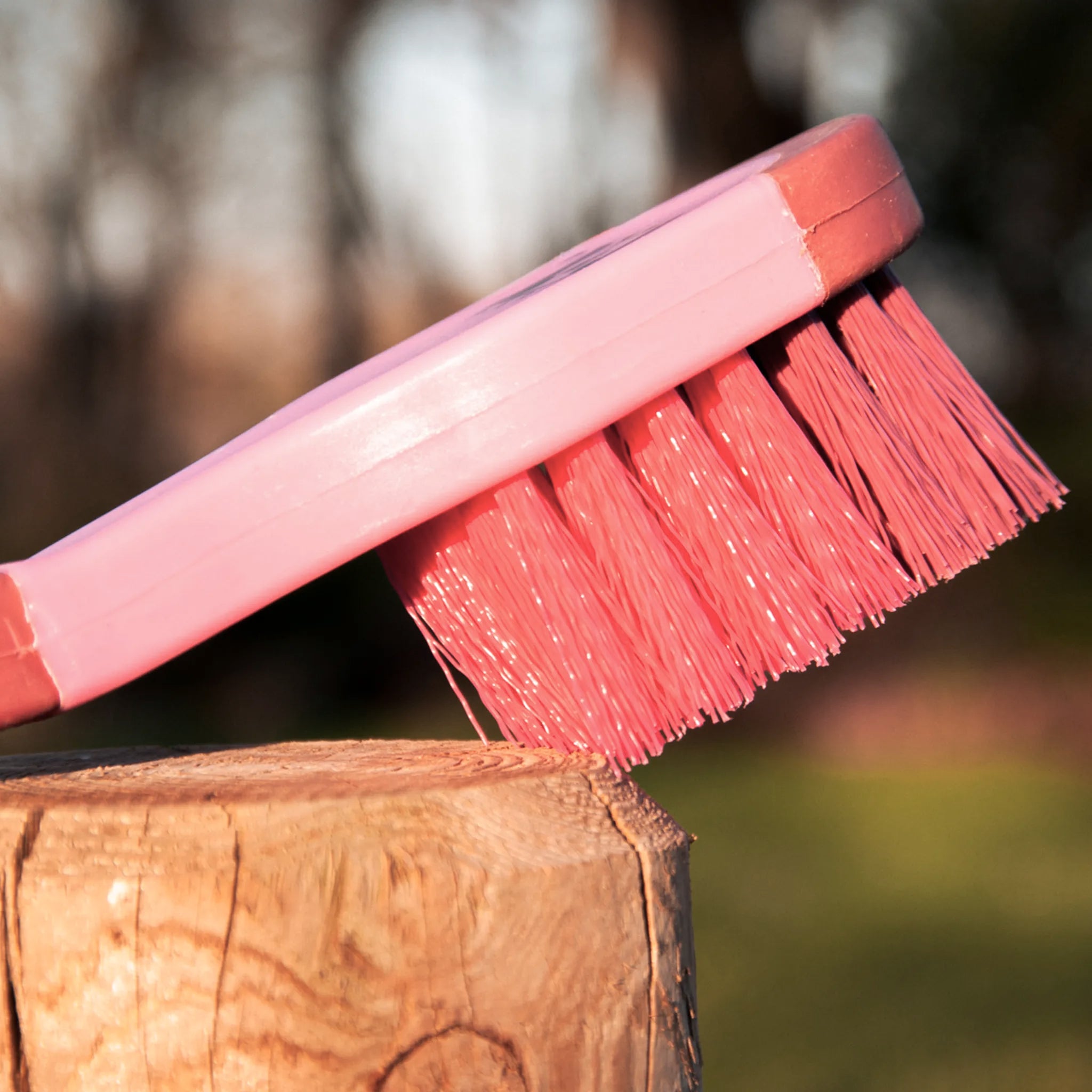 TdeT - Brosse à seau Bicolore bordeaux rose