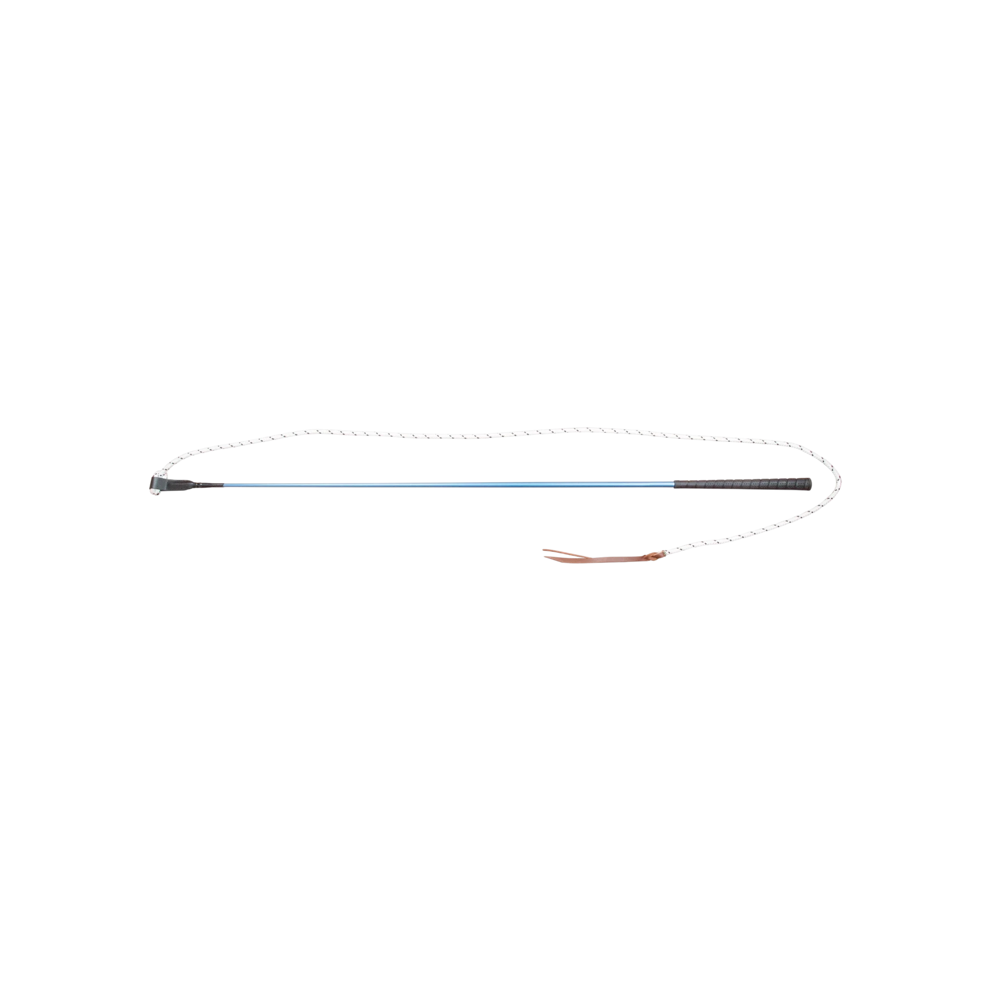 TdeT - Carrot stick blue