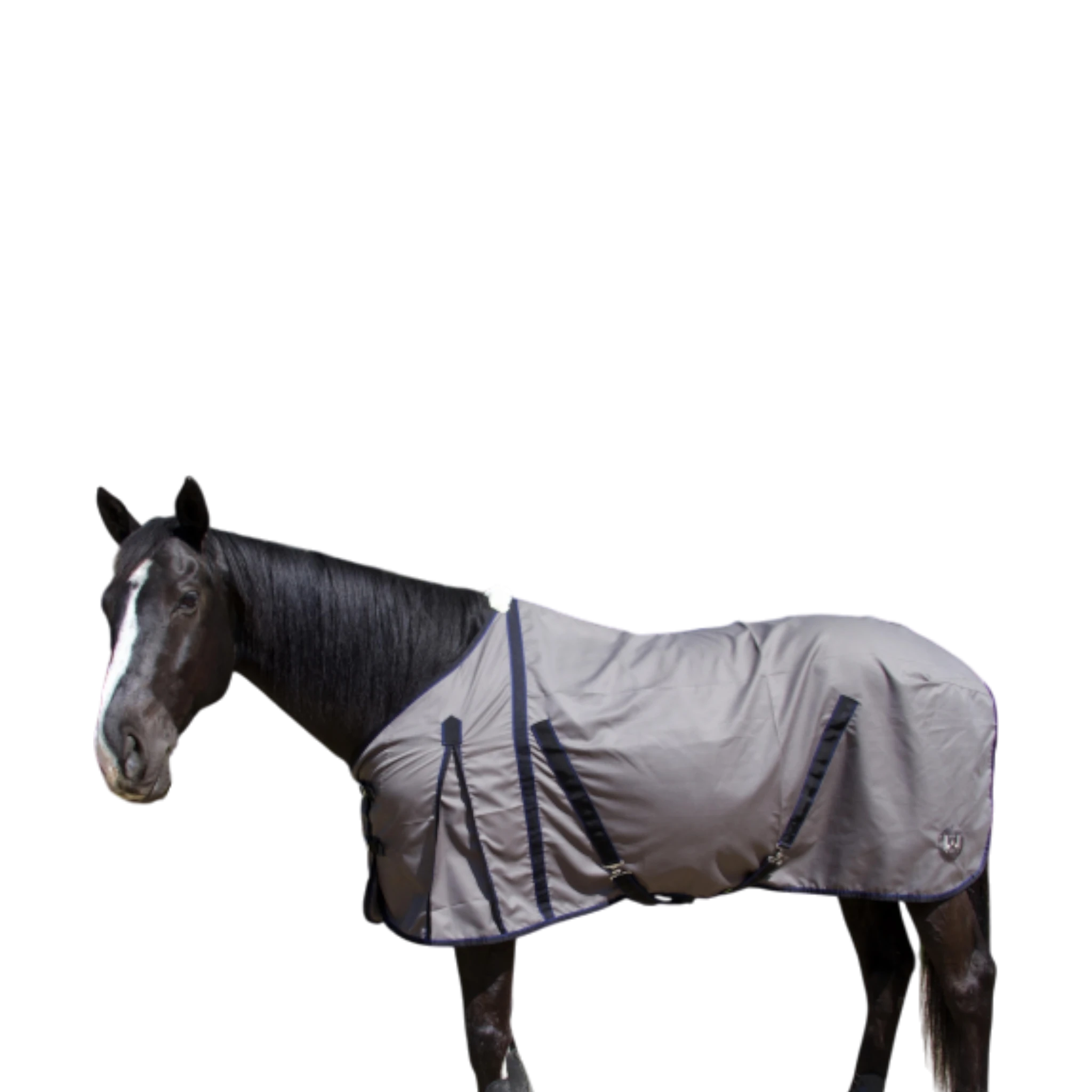 TdeT - Chemise coton gris noir