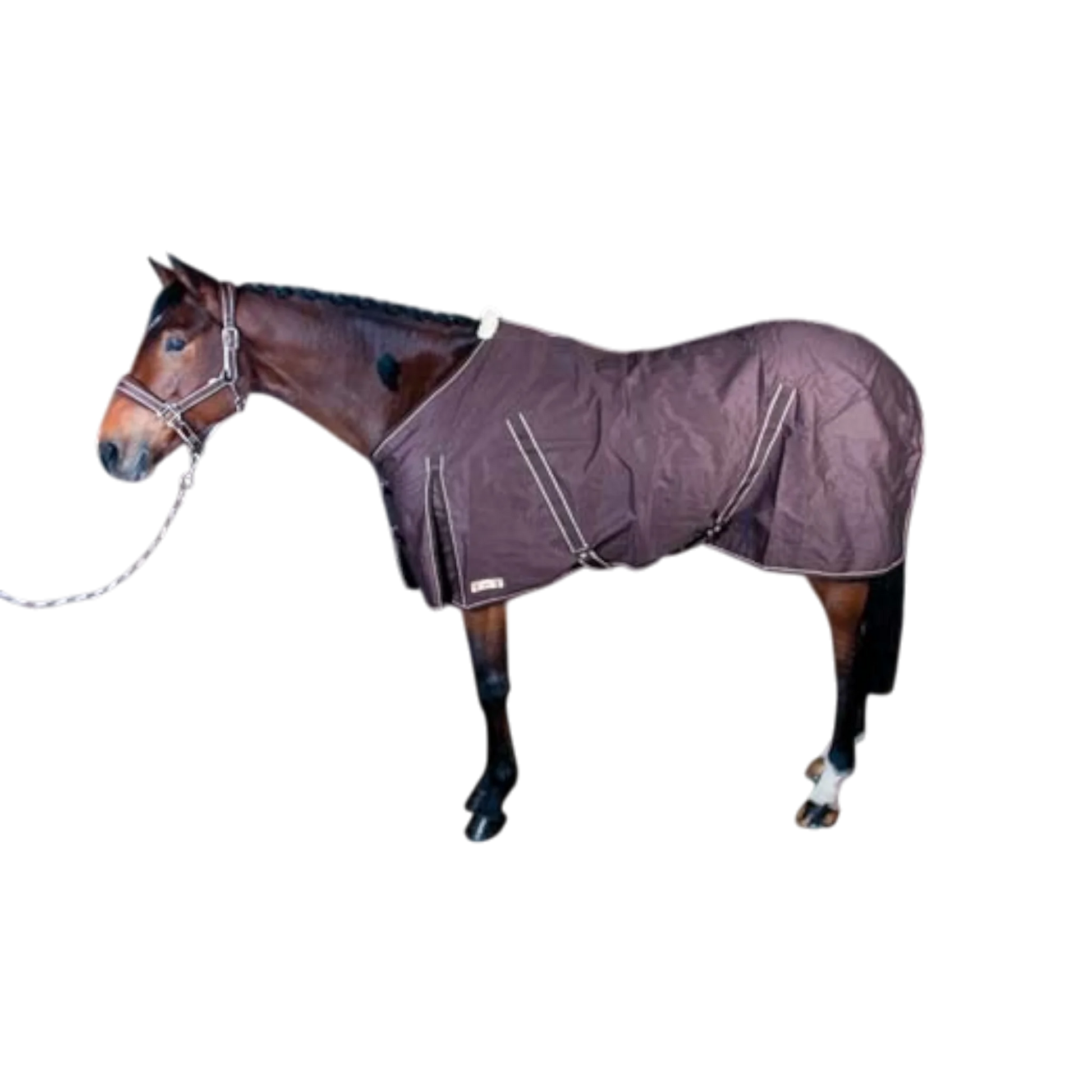 TdeT - Chemise coton marron foncé