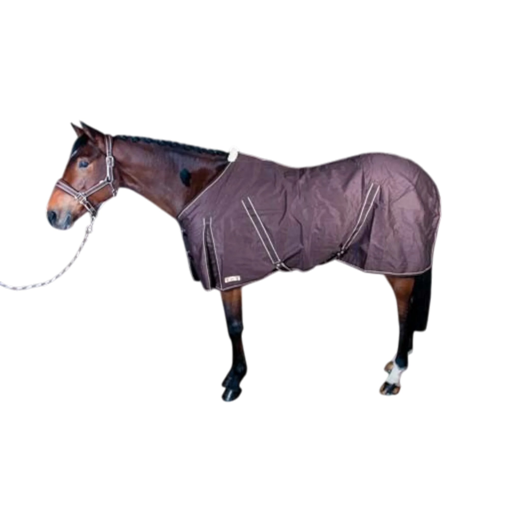 TdeT - Chemise coton marron foncé