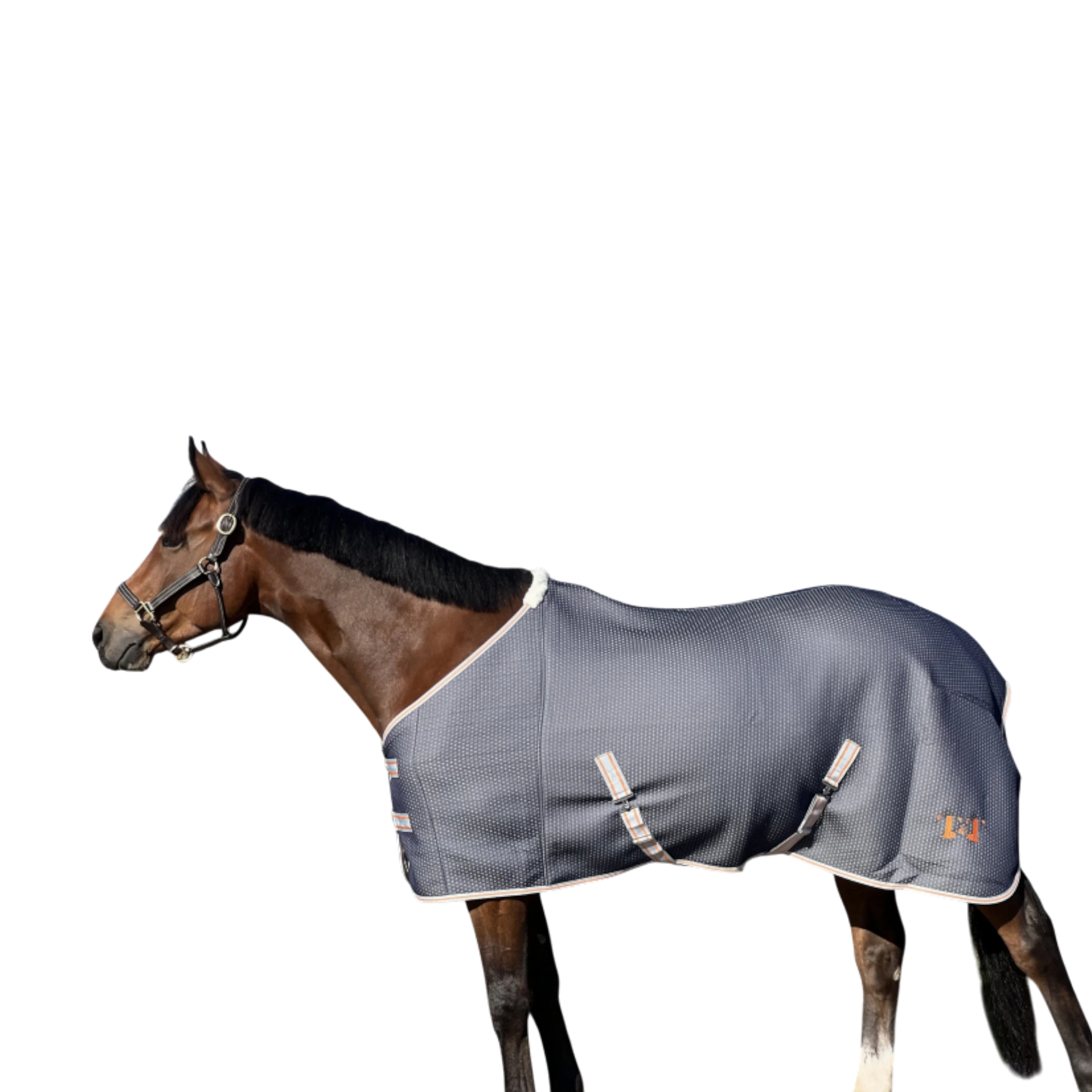 TdeT - Chemise séchante Micro-Jersey marine