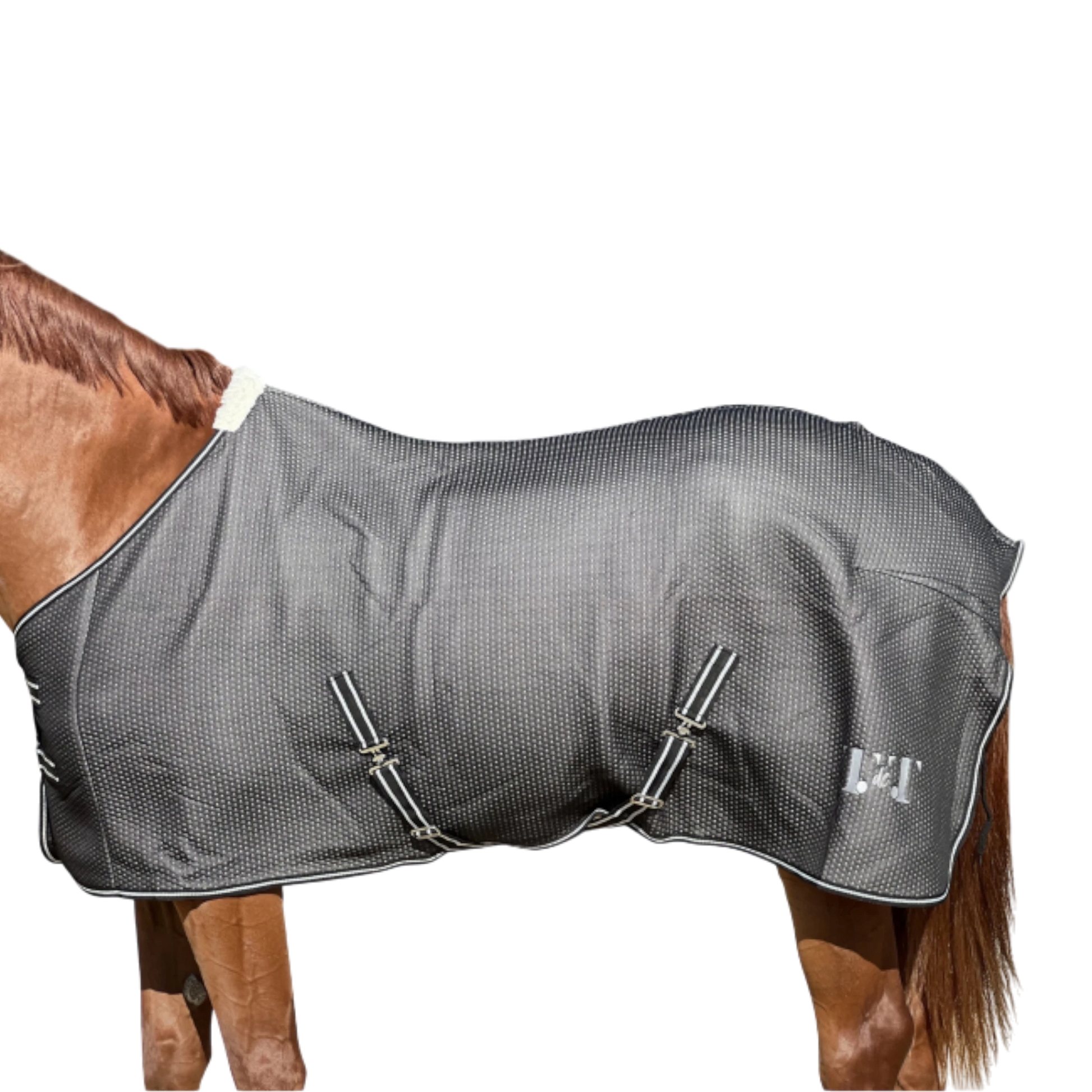 TdeT - Chemise séchante Micro-Jersey noir