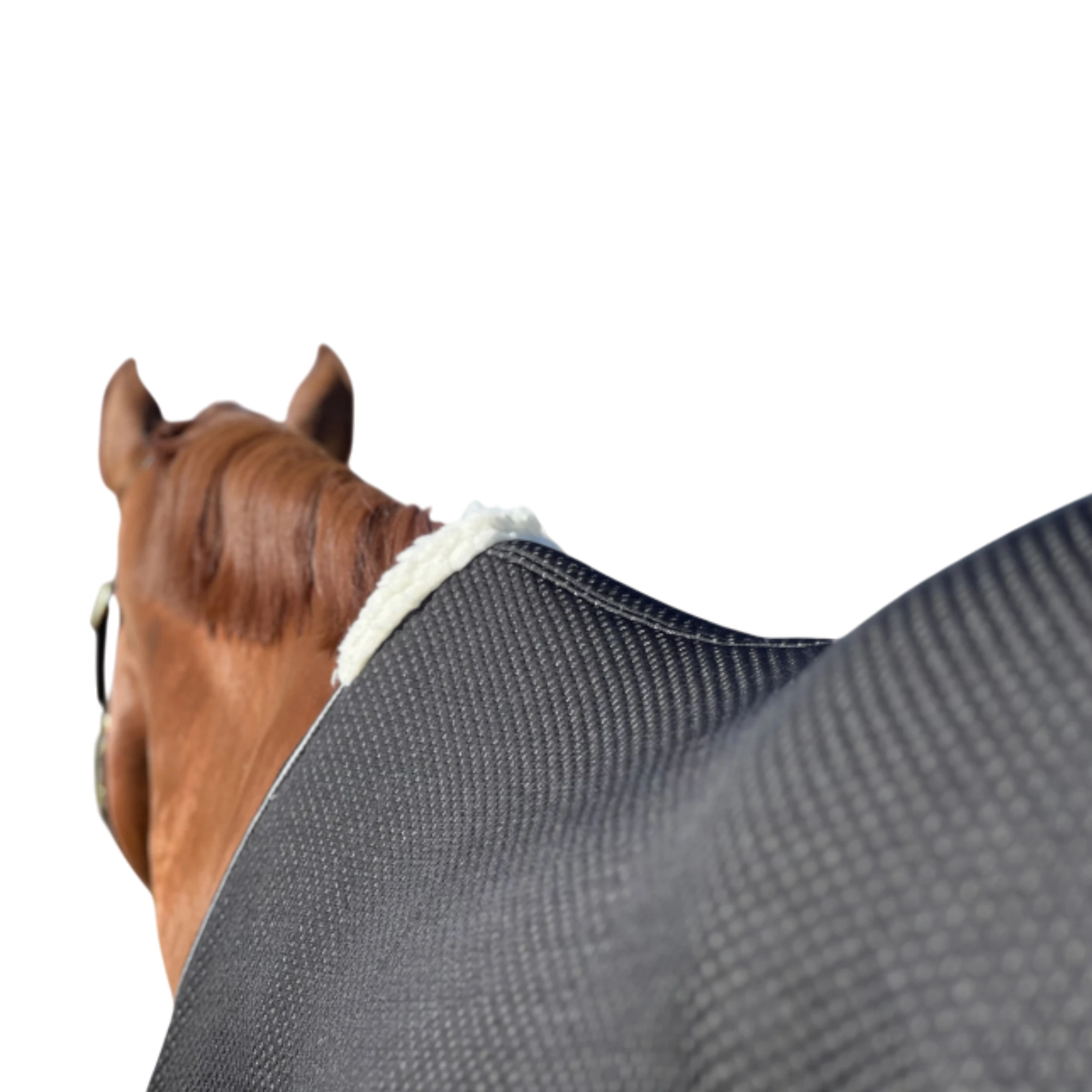 TdeT - Chemise séchante Micro-Jersey noir