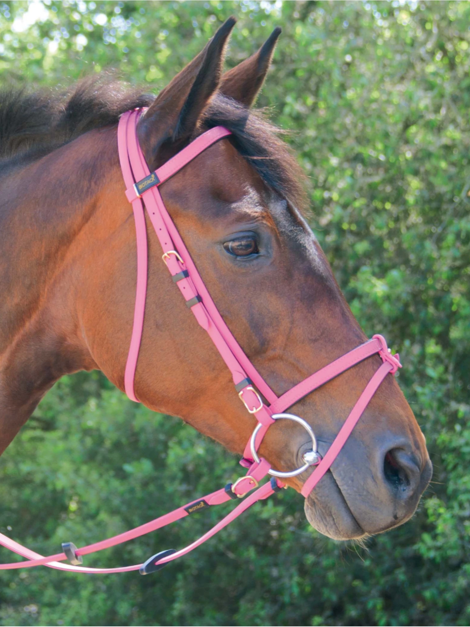 Briderie Biotack cheval - Bridons, licols, rênes & enrênements Briderie Biotack cheval - Bridons, licols, rênes & enrênements