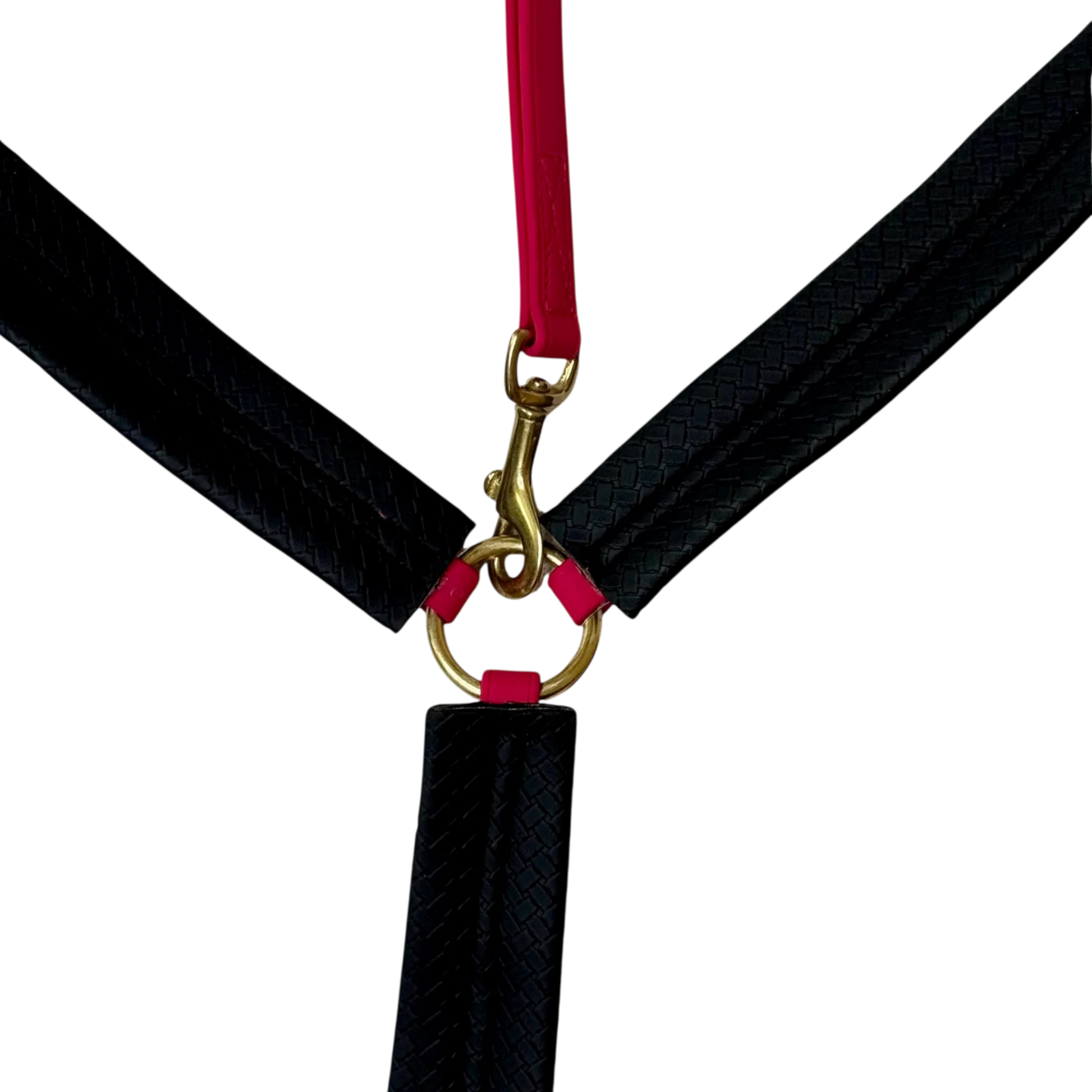 TdeT - Collier de chasse Biotack® fuchsia