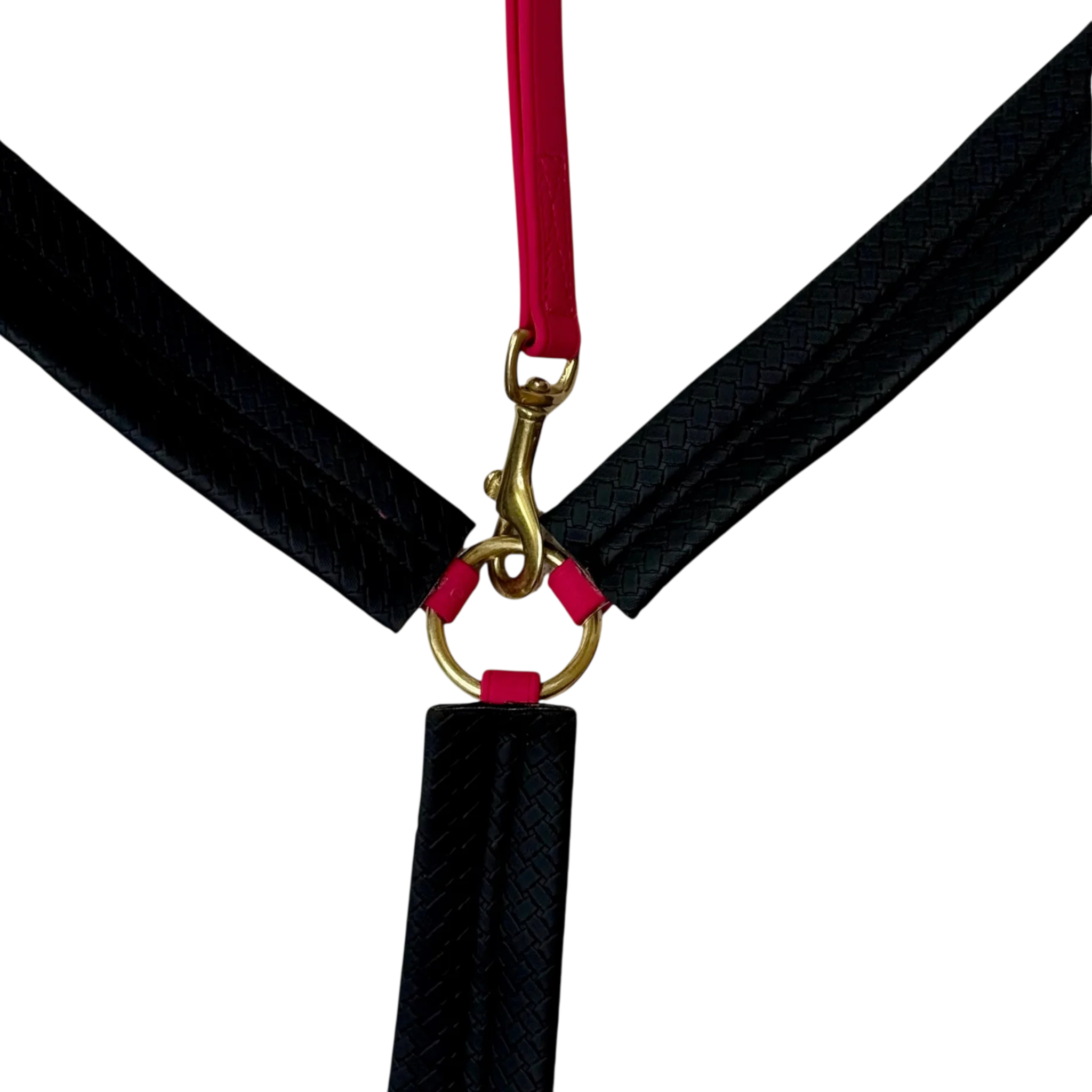 TdeT - Collier de chasse Biotack® fuchsia