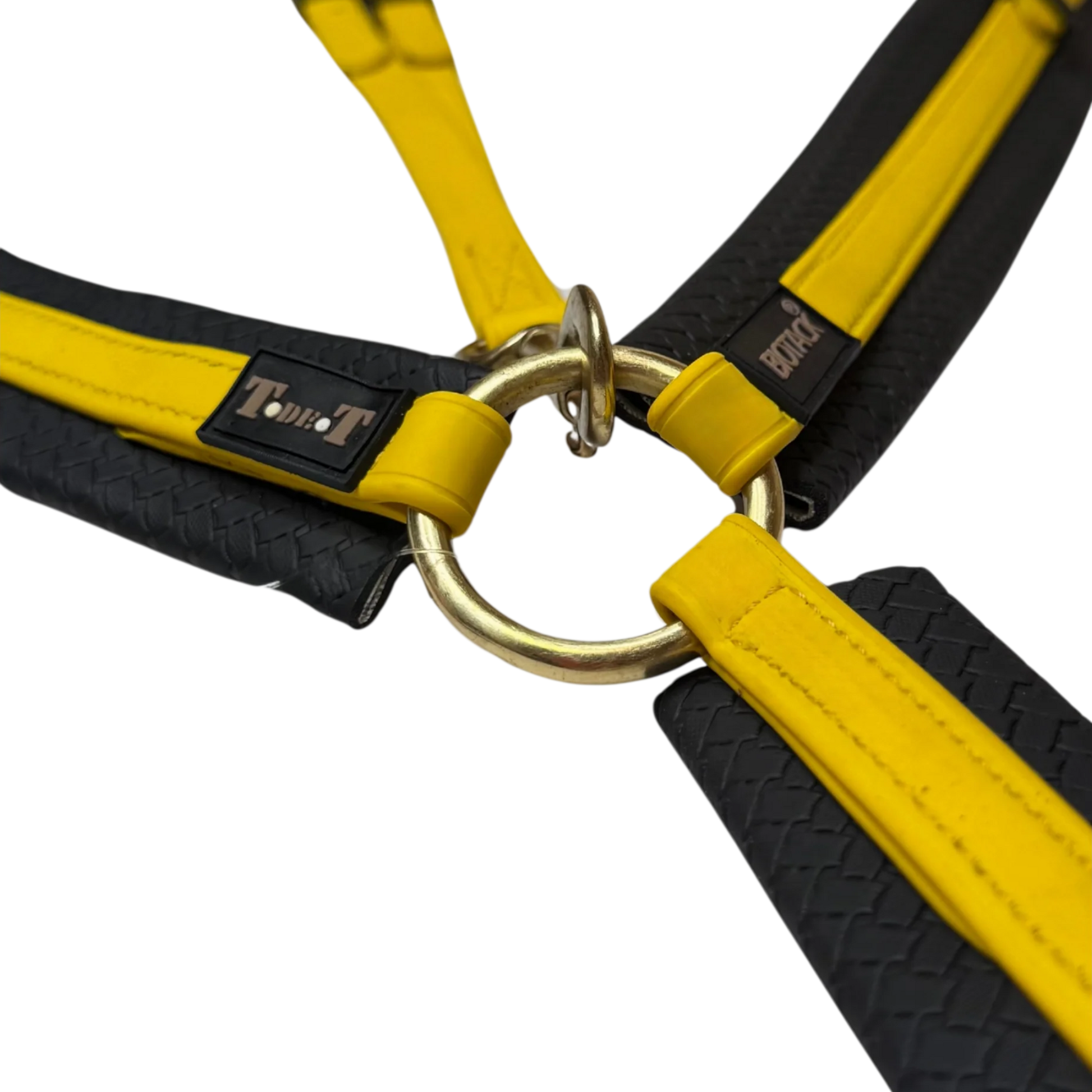 TdeT - Collier de chasse Biotack® jaune