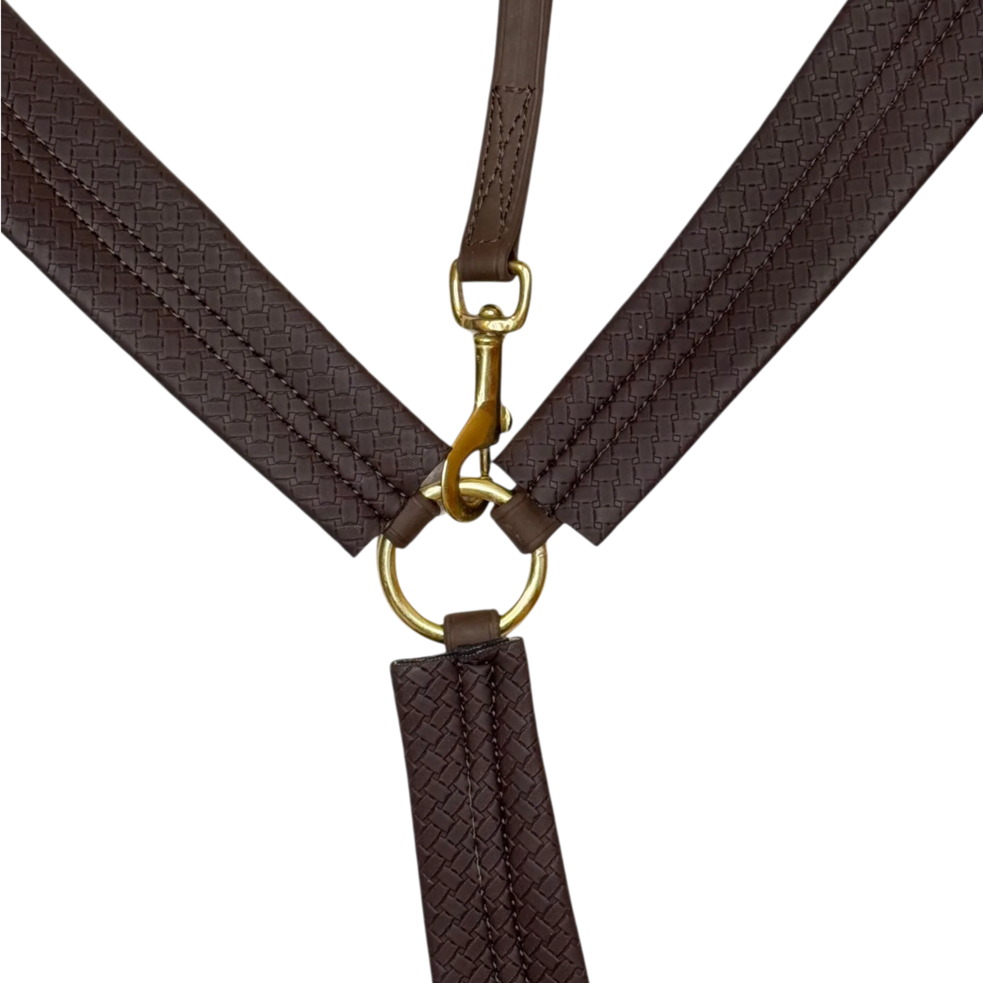 TdeT - Collier de chasse Biotack® marron foncé